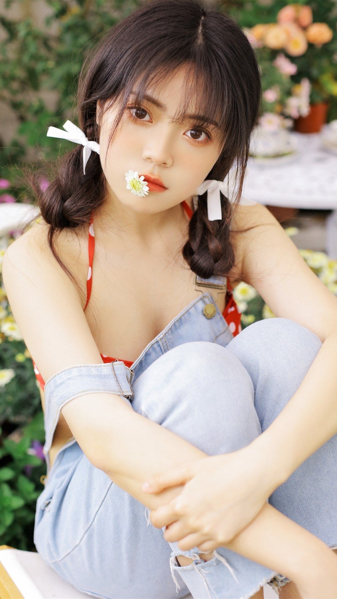 6a62c8c1ecc56.jpg