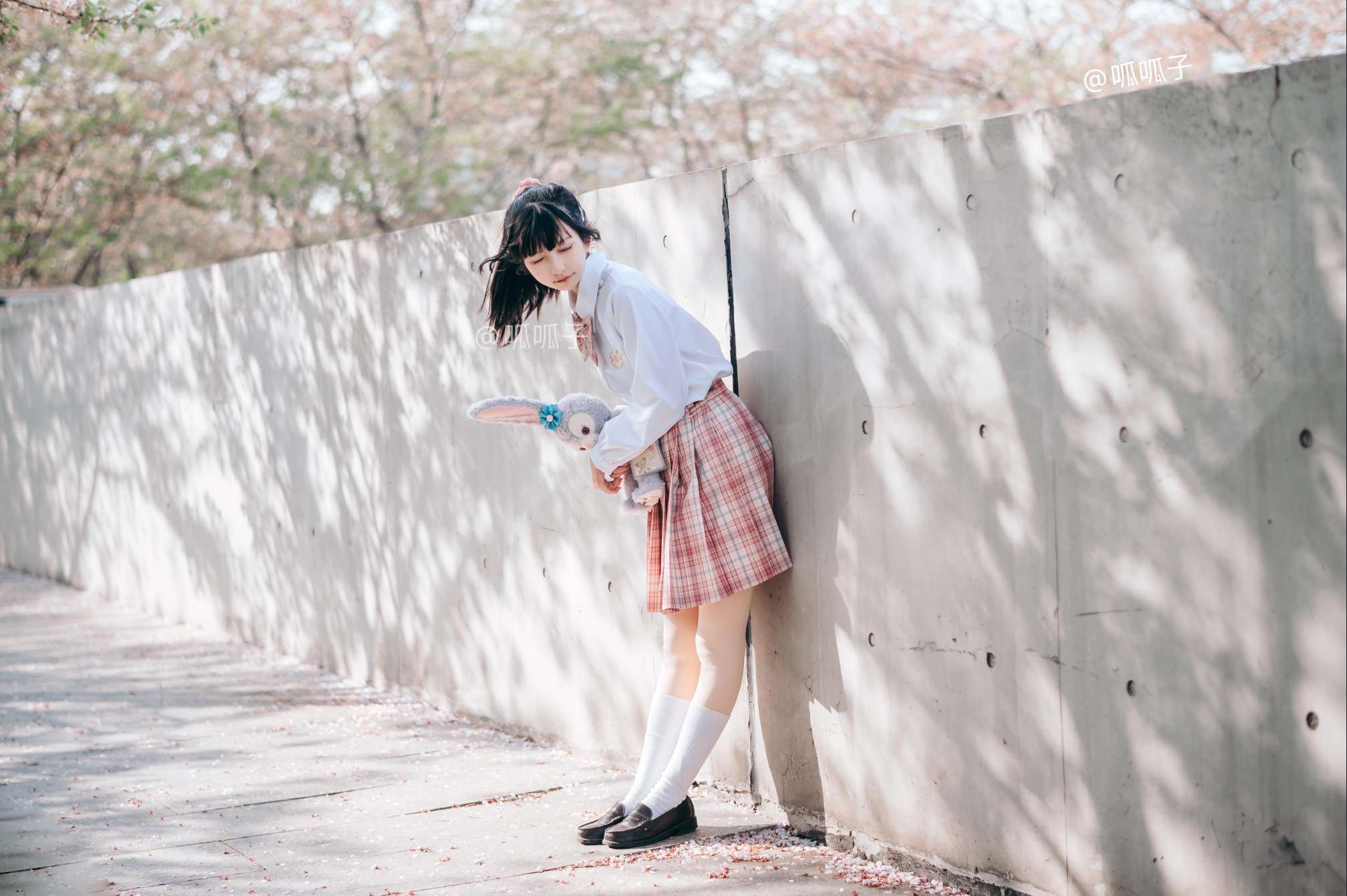 6a62c90d254f6.jpg