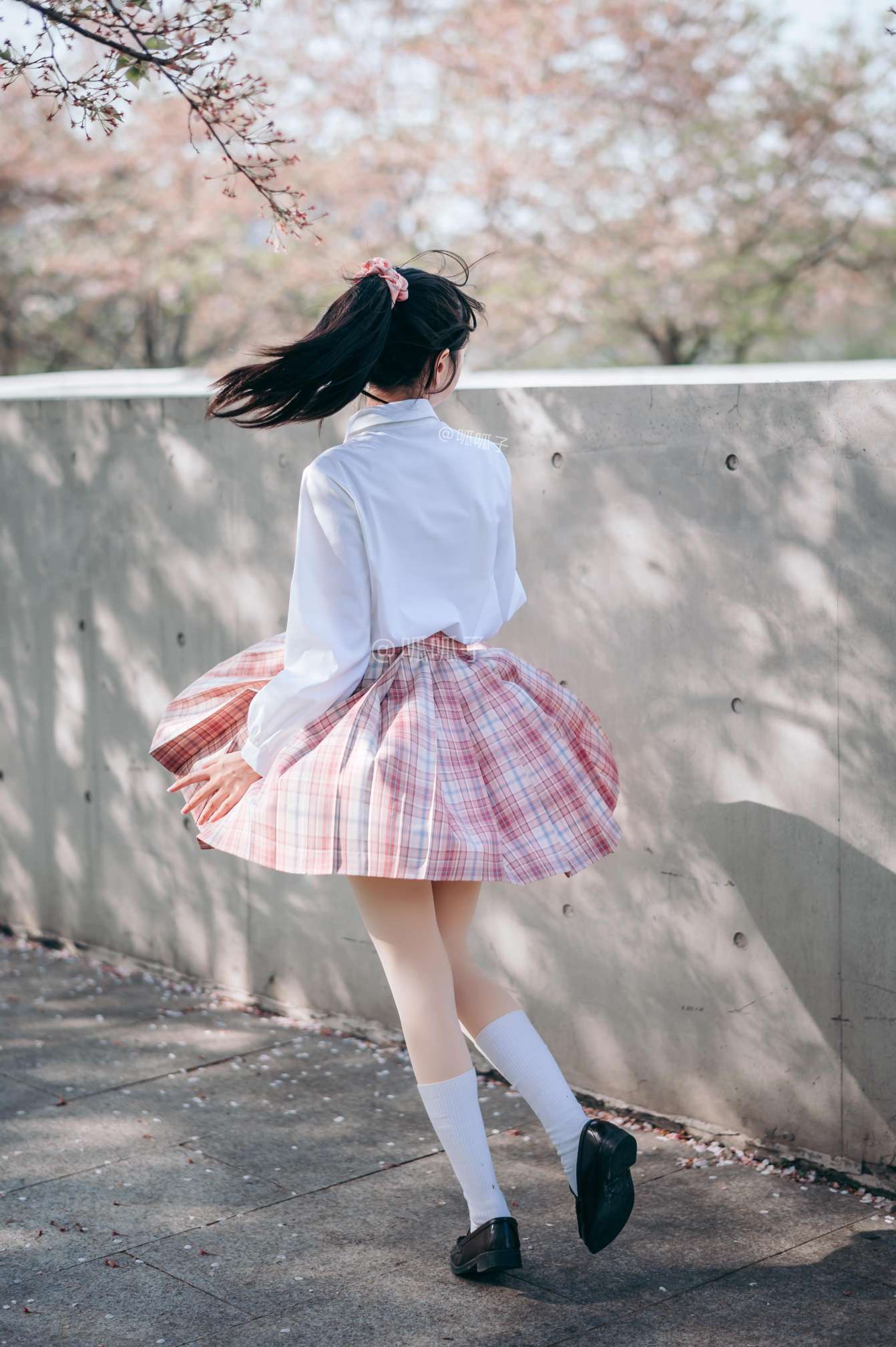 6a62c90e931d2.jpg