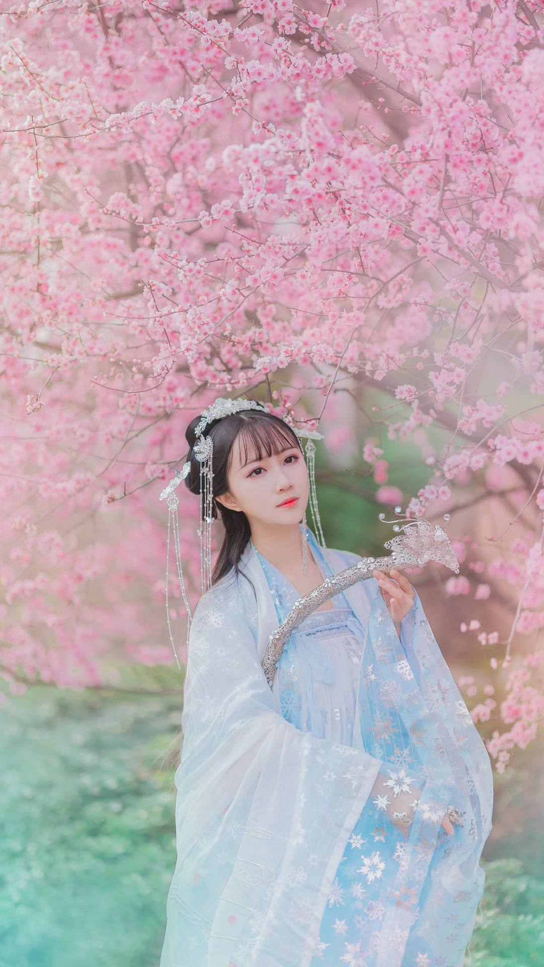 6a62c924ddd50.jpg