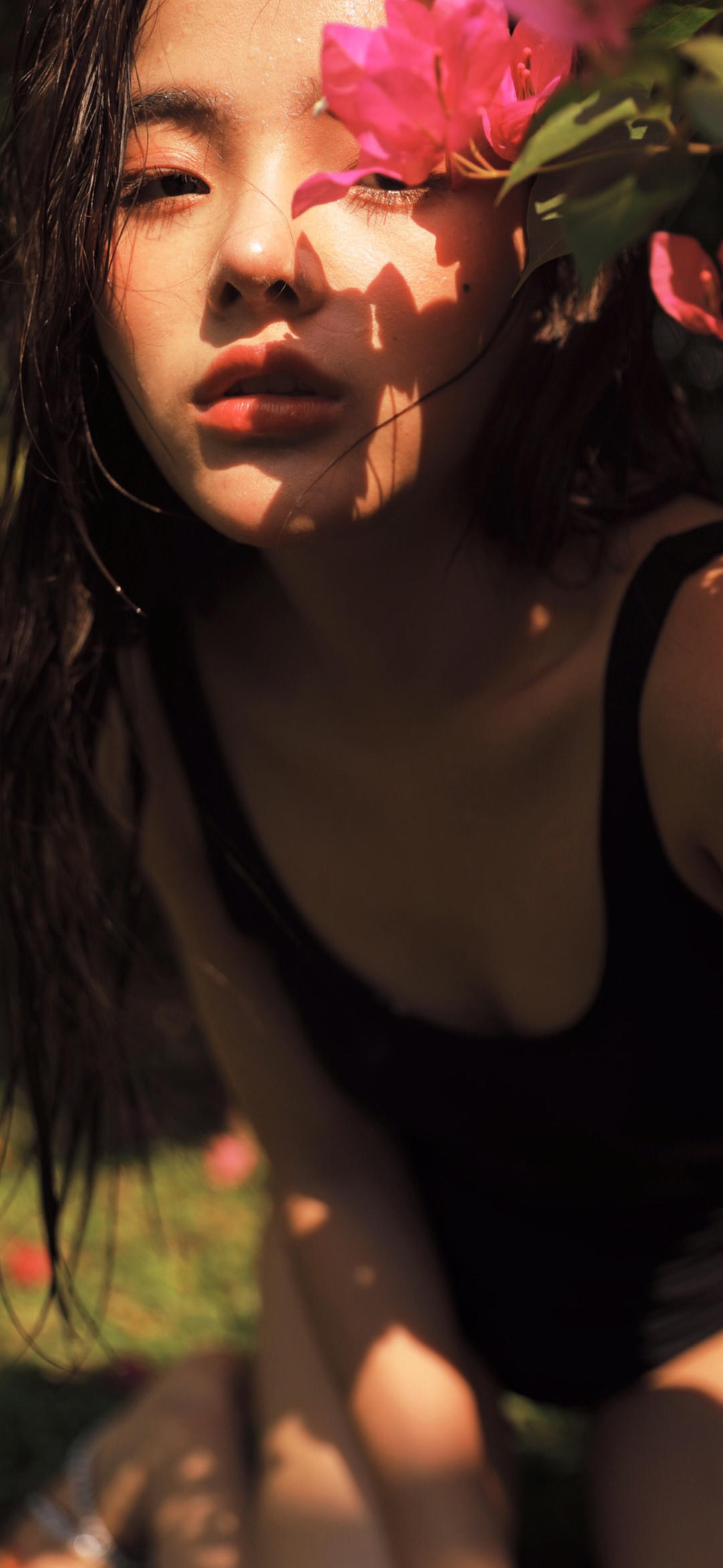 6a62cc32da184.jpg