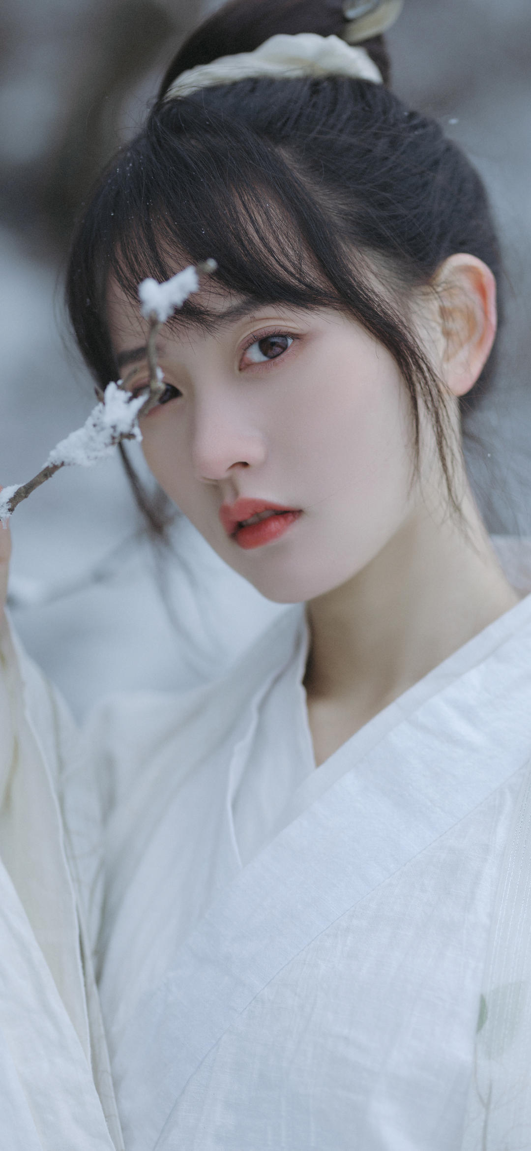 6a62cc3345ef4.jpg