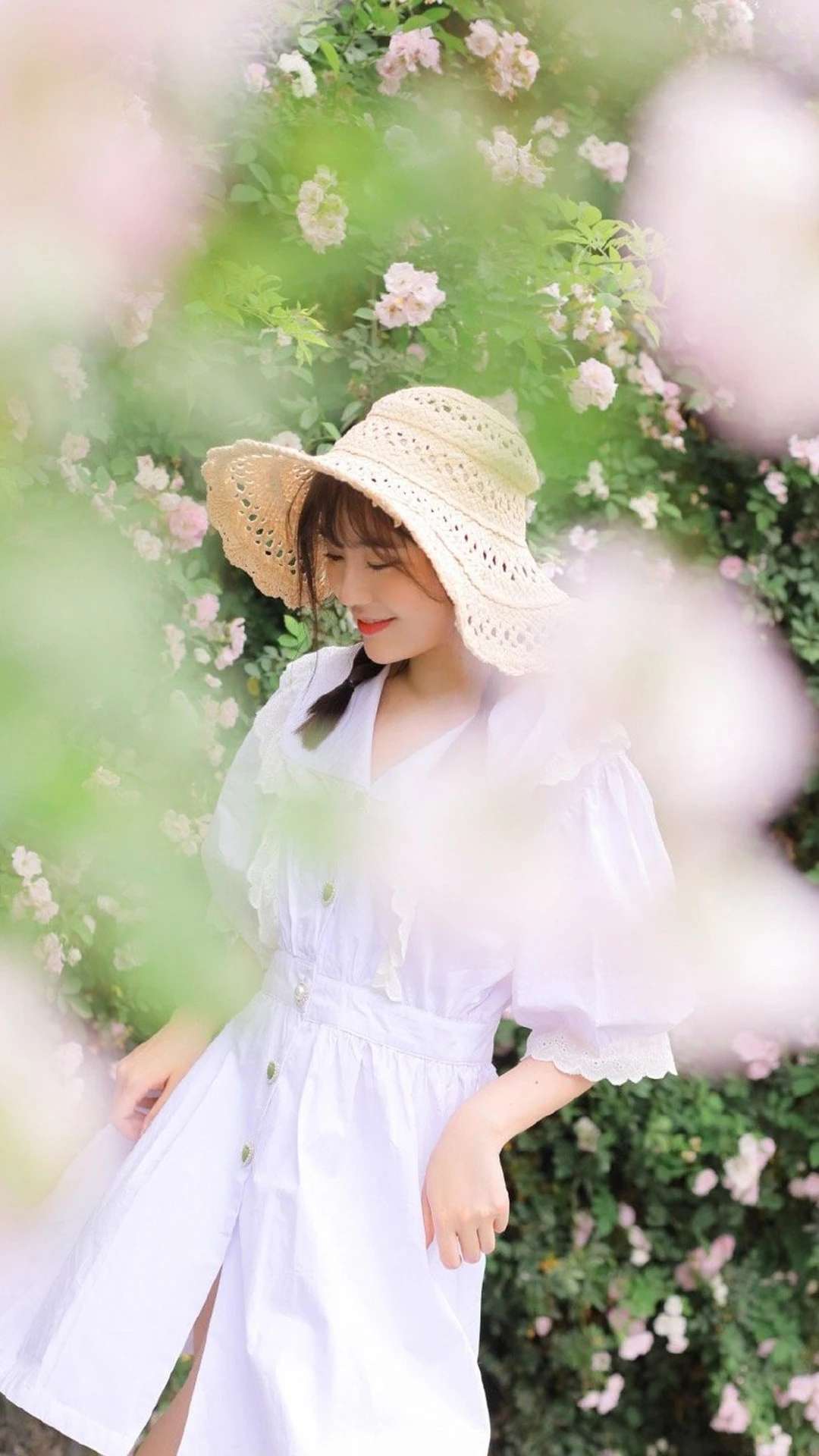 6a62cc6636160.jpg