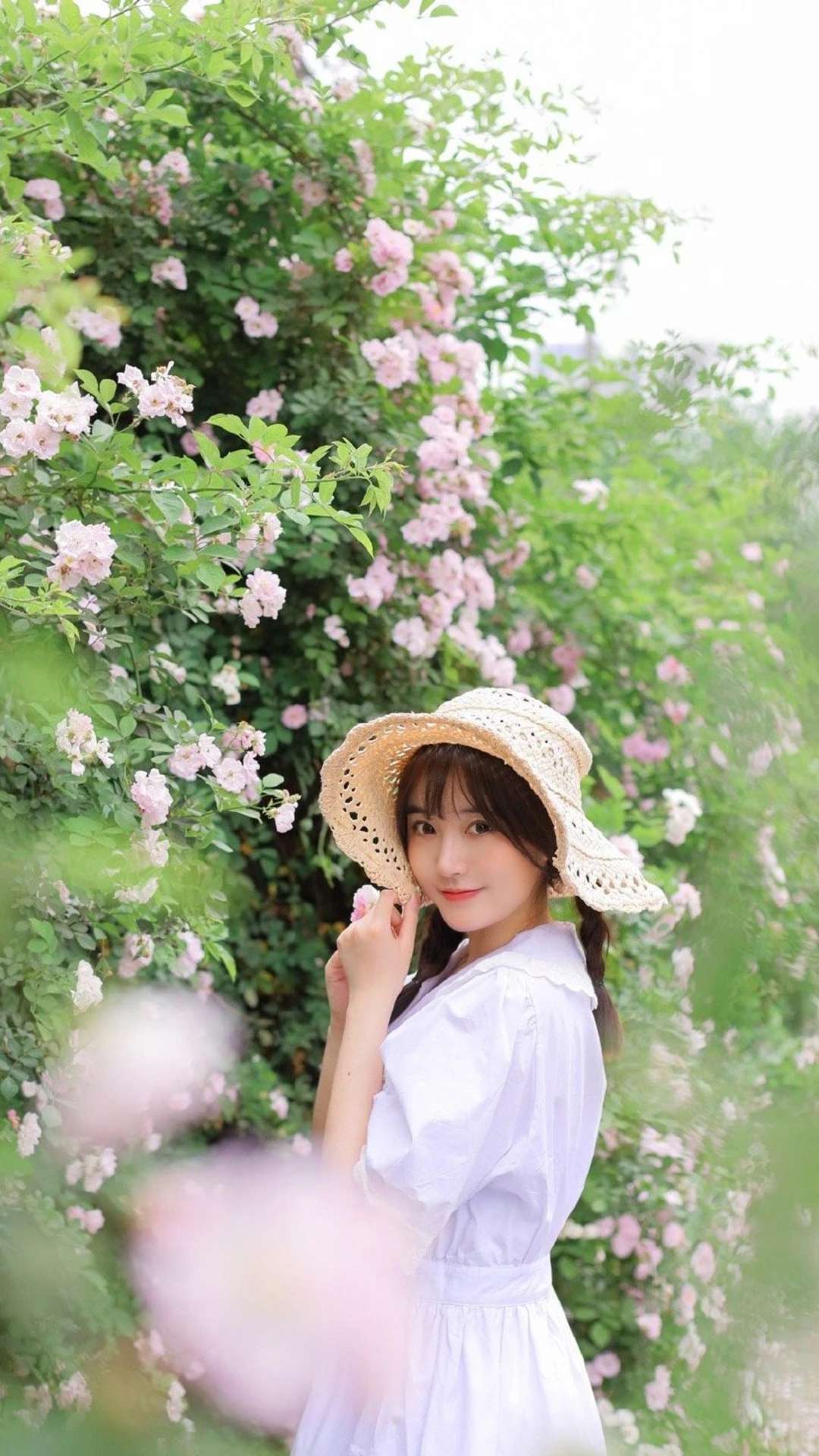 6a62cc66c645f.jpg