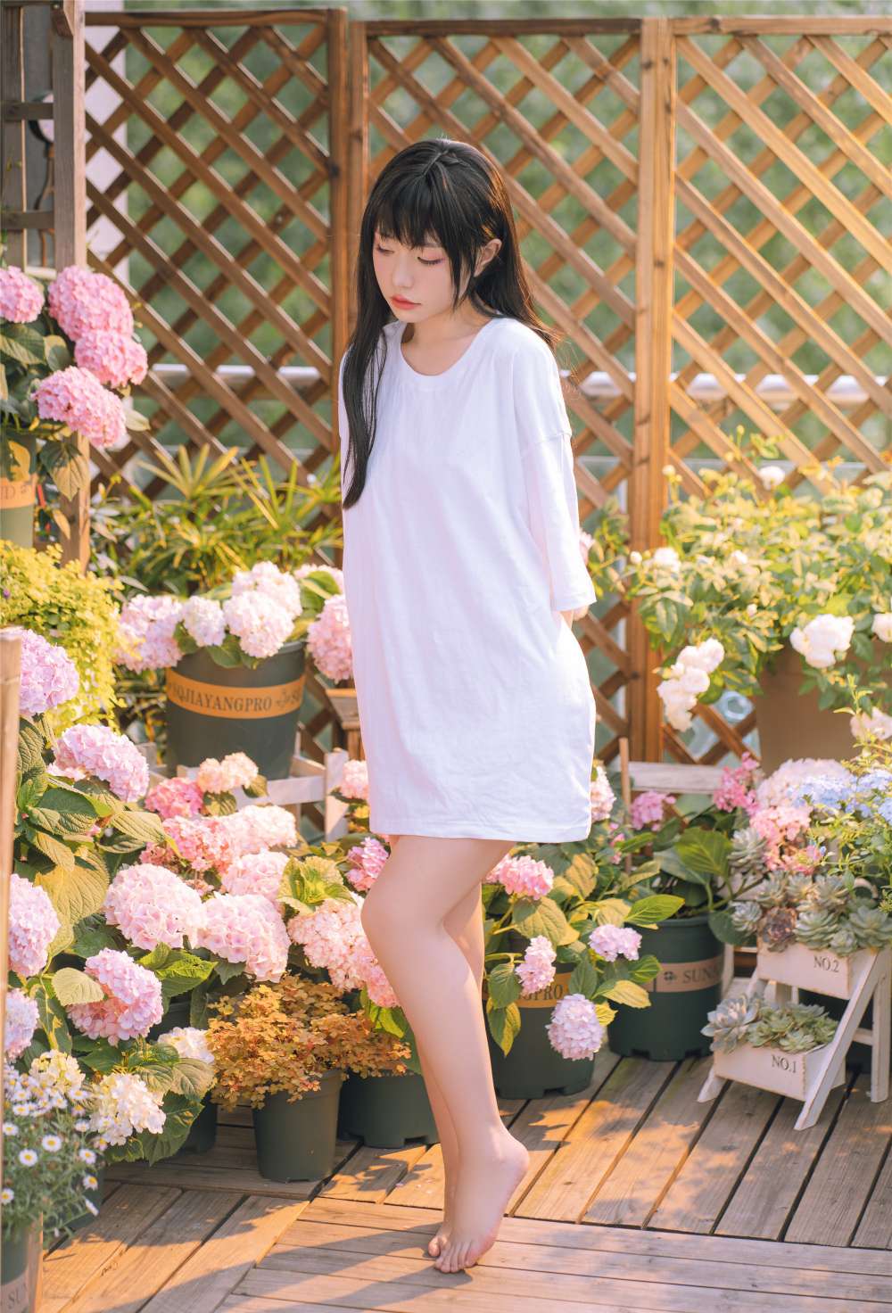 6a62cc6938661.jpg