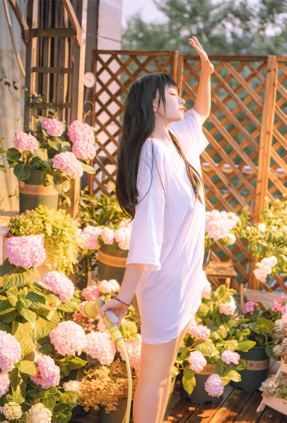 6a62cc6a586d7.jpg
