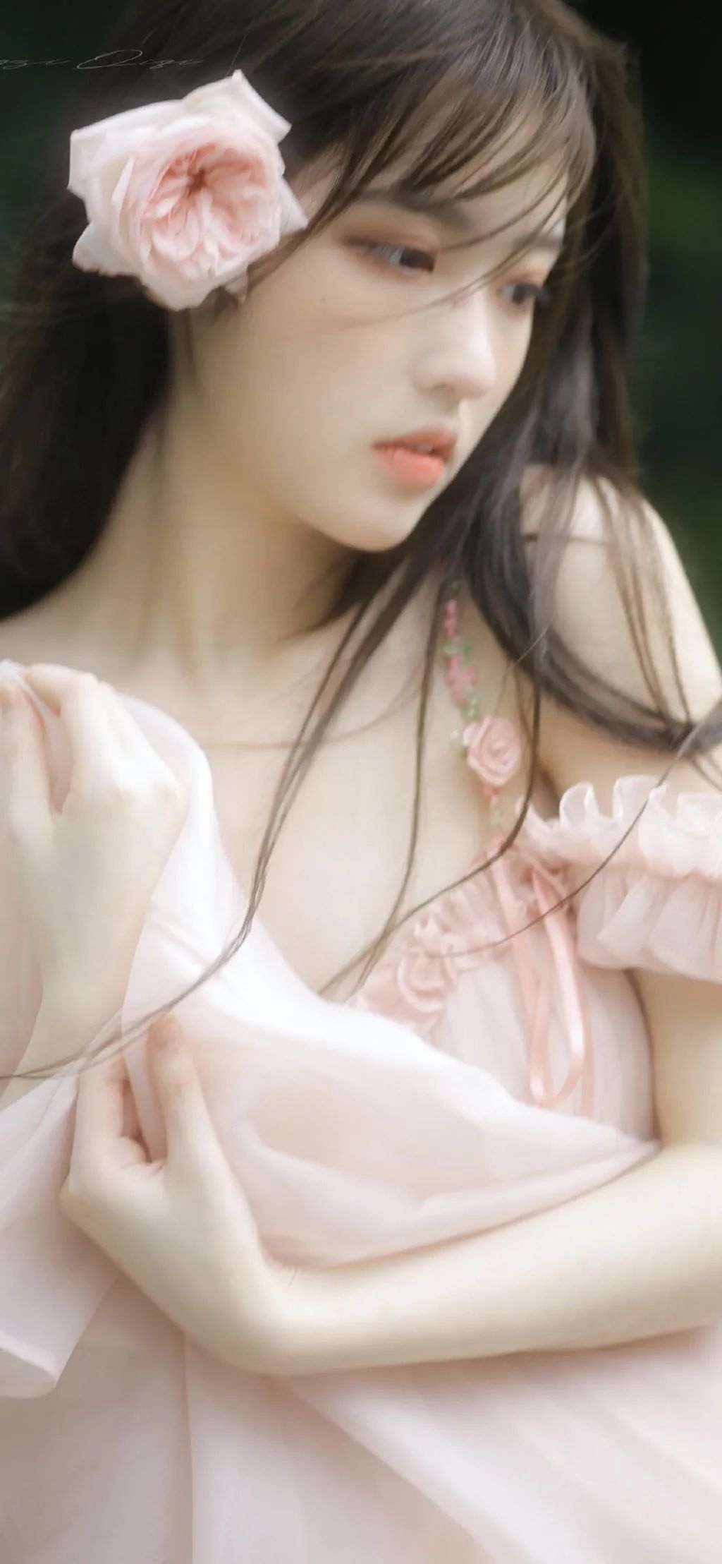 6a62cce61ef7c.jpg