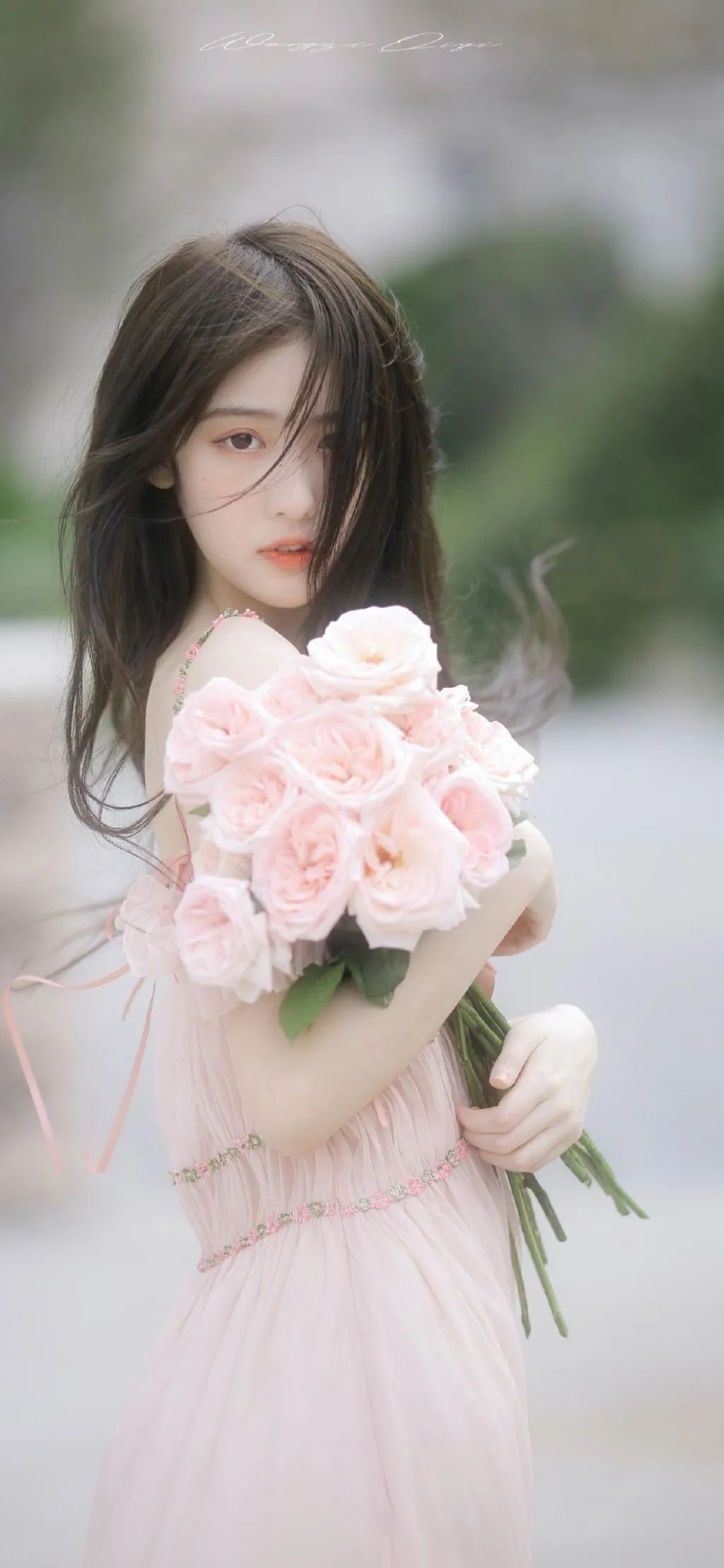 6a62cce7301db.jpg