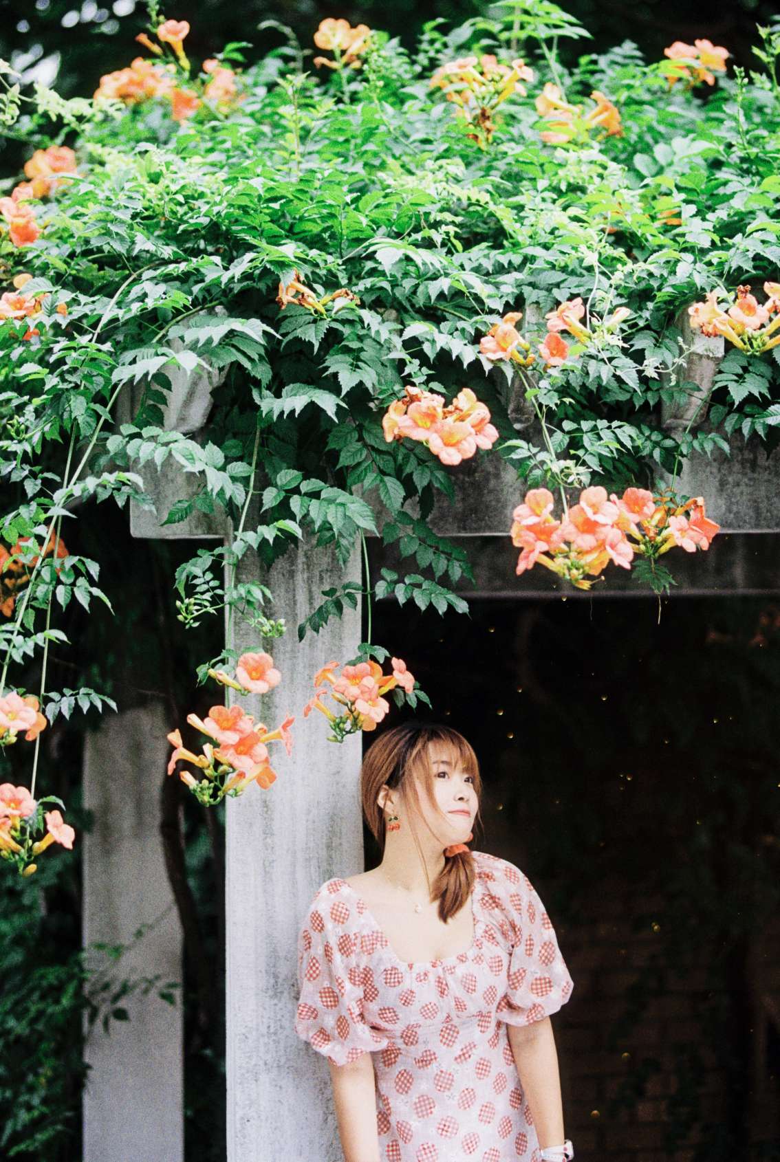 6a62cd0369ec9.jpg