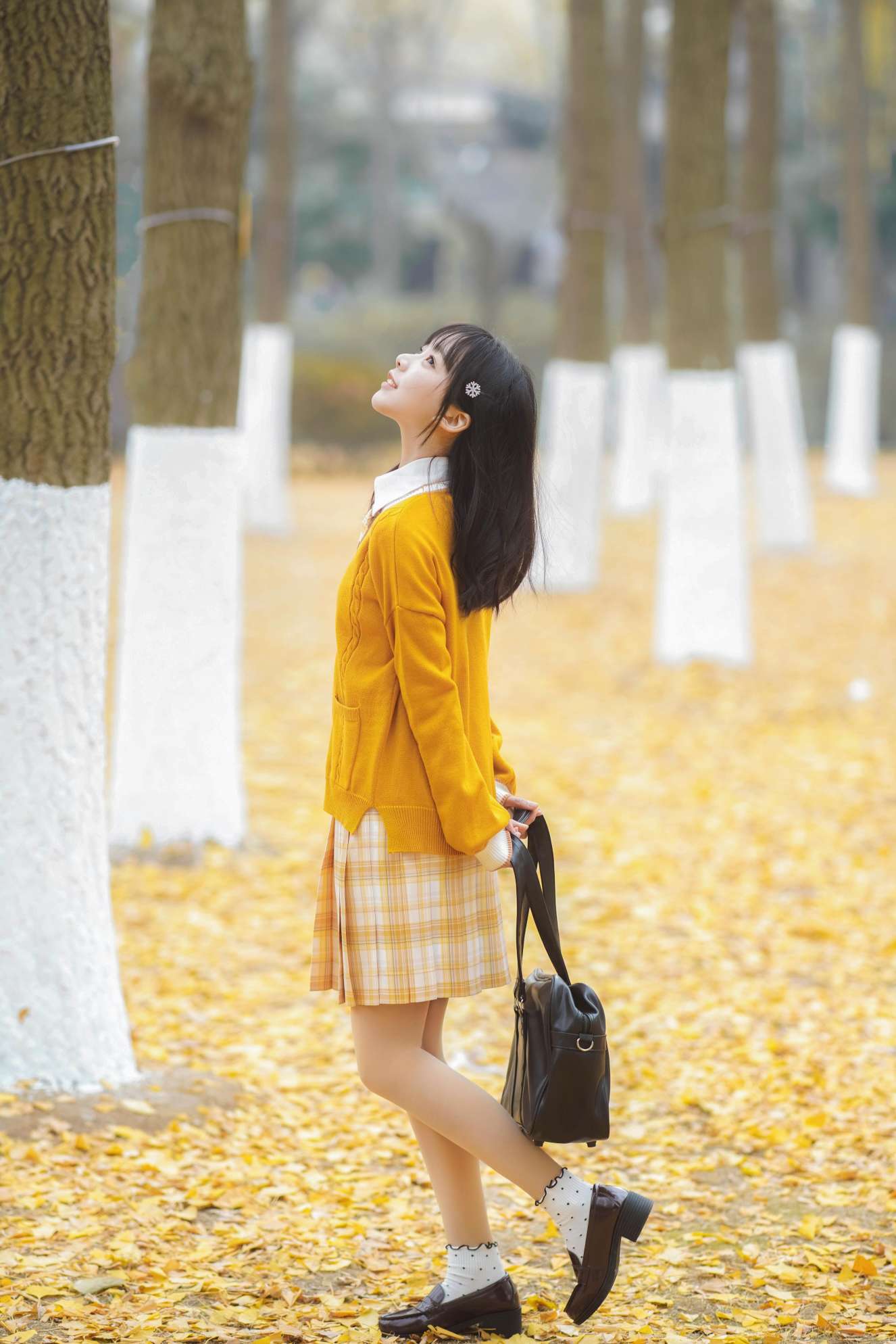 6a62cd20e2e25.jpg