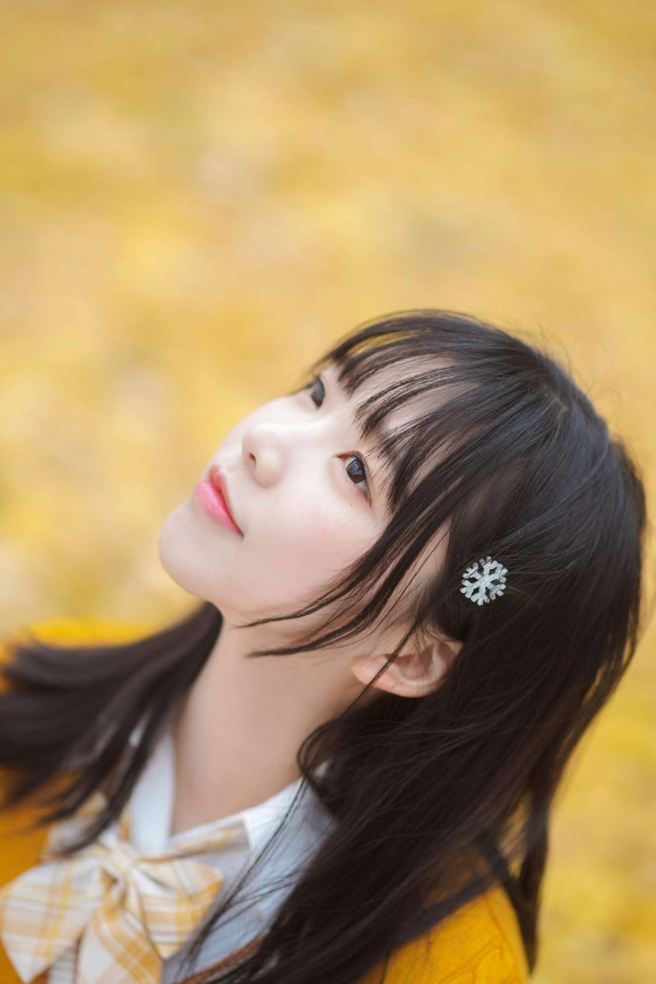 6a62cd22210ee.jpg