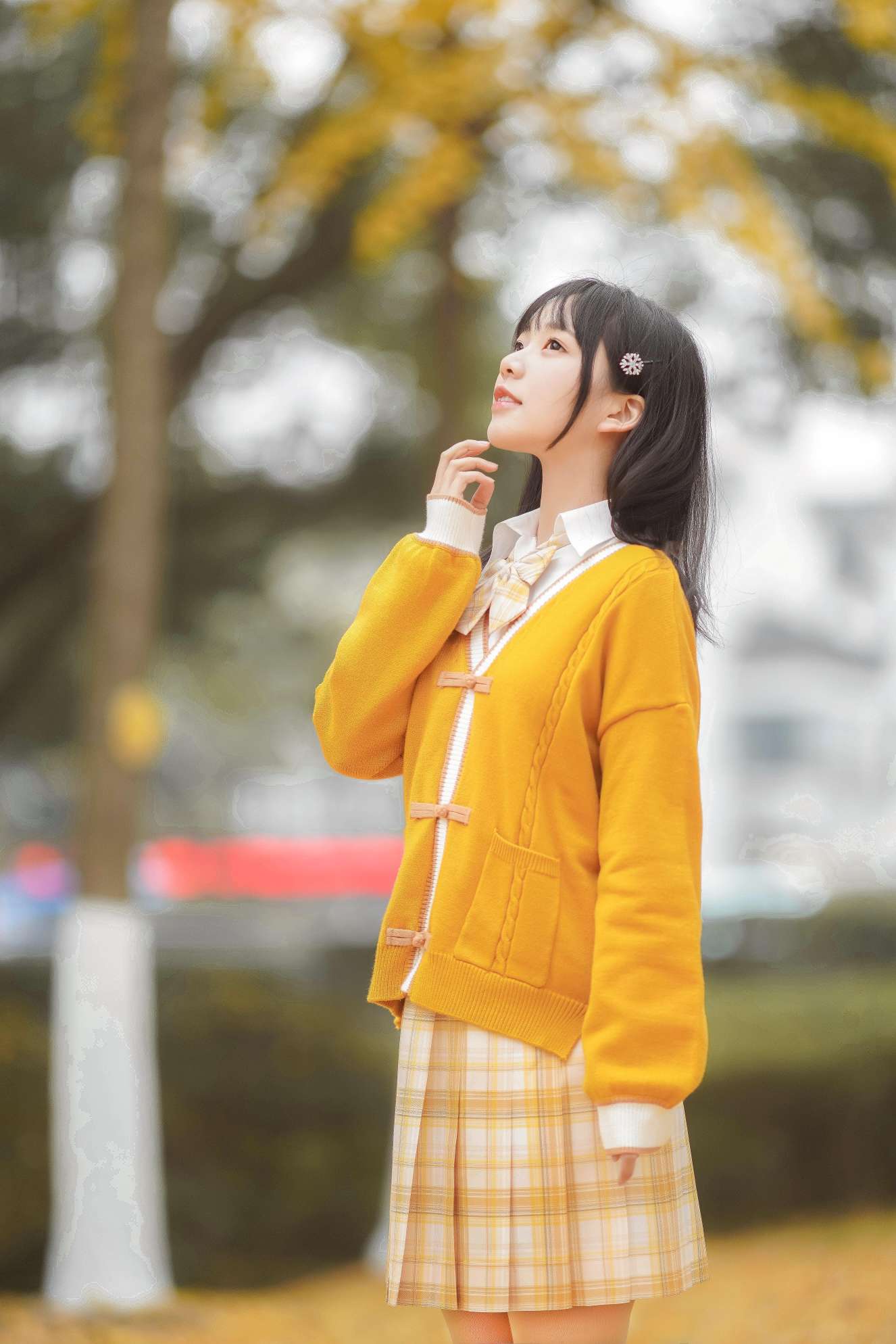 6a62cd230a4da.jpg