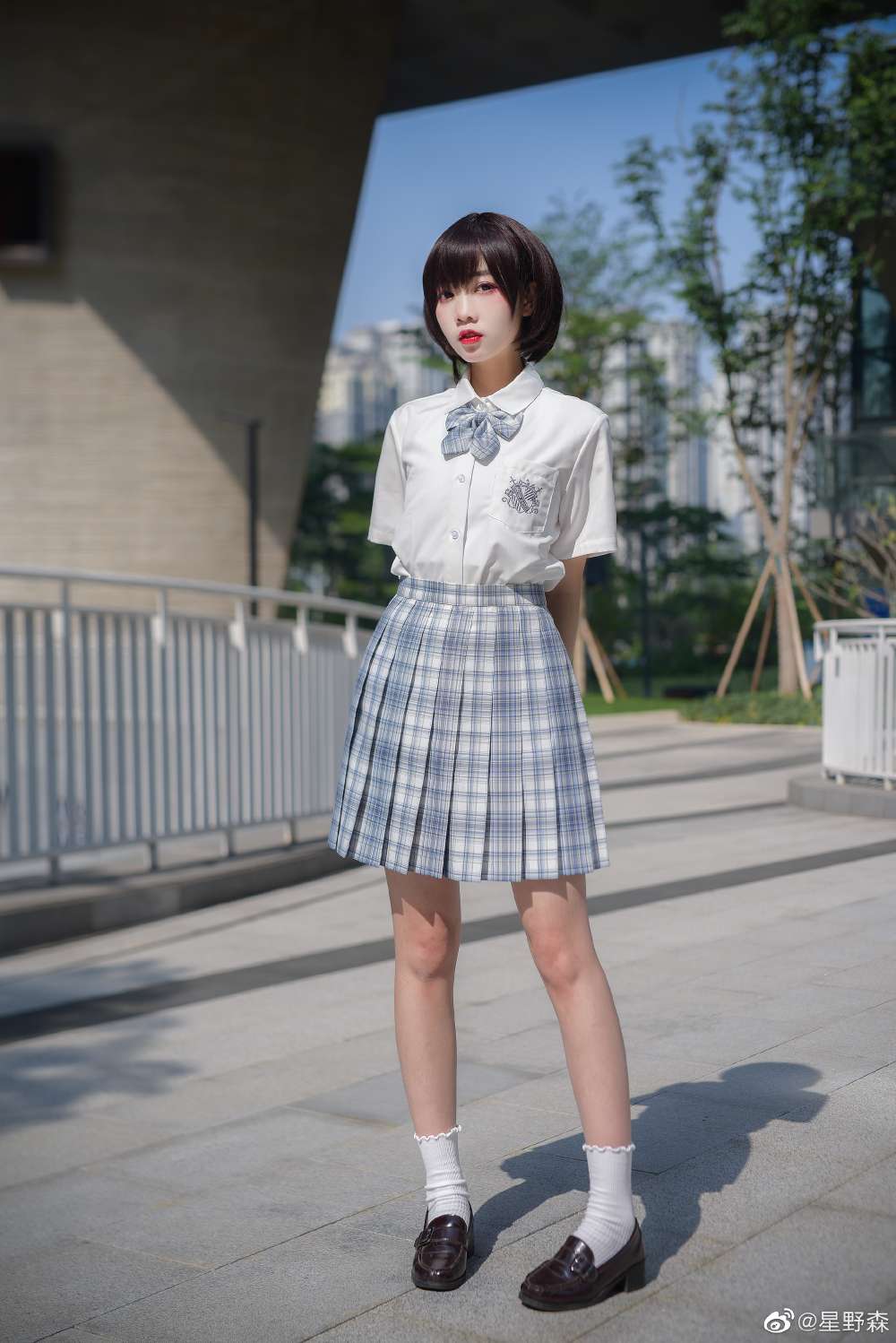 6a62cdf5c54ab.jpg