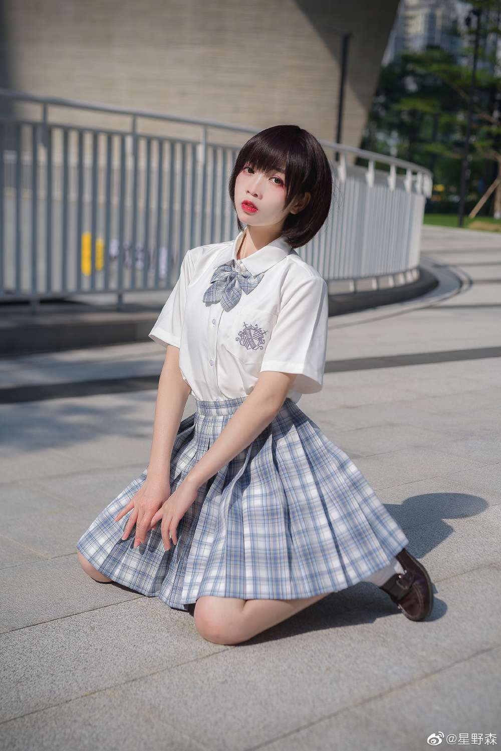 6a62cdf679c6f.jpg
