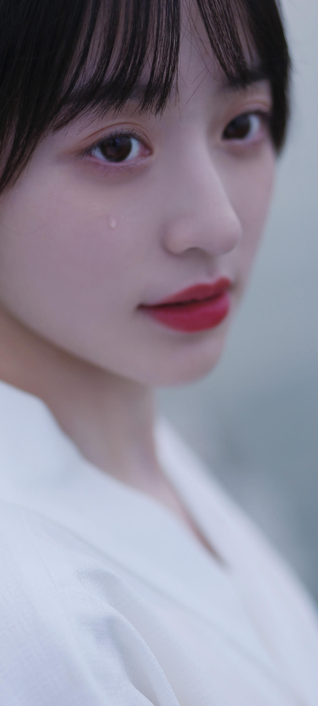6a62ce45649cc.jpg