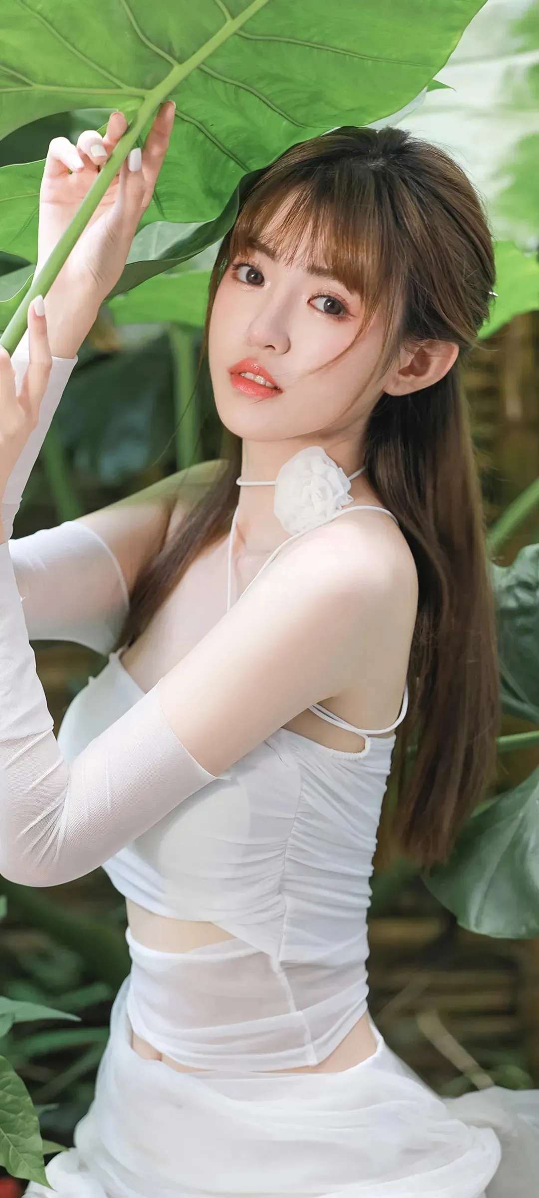 6a62ce4857066.jpg