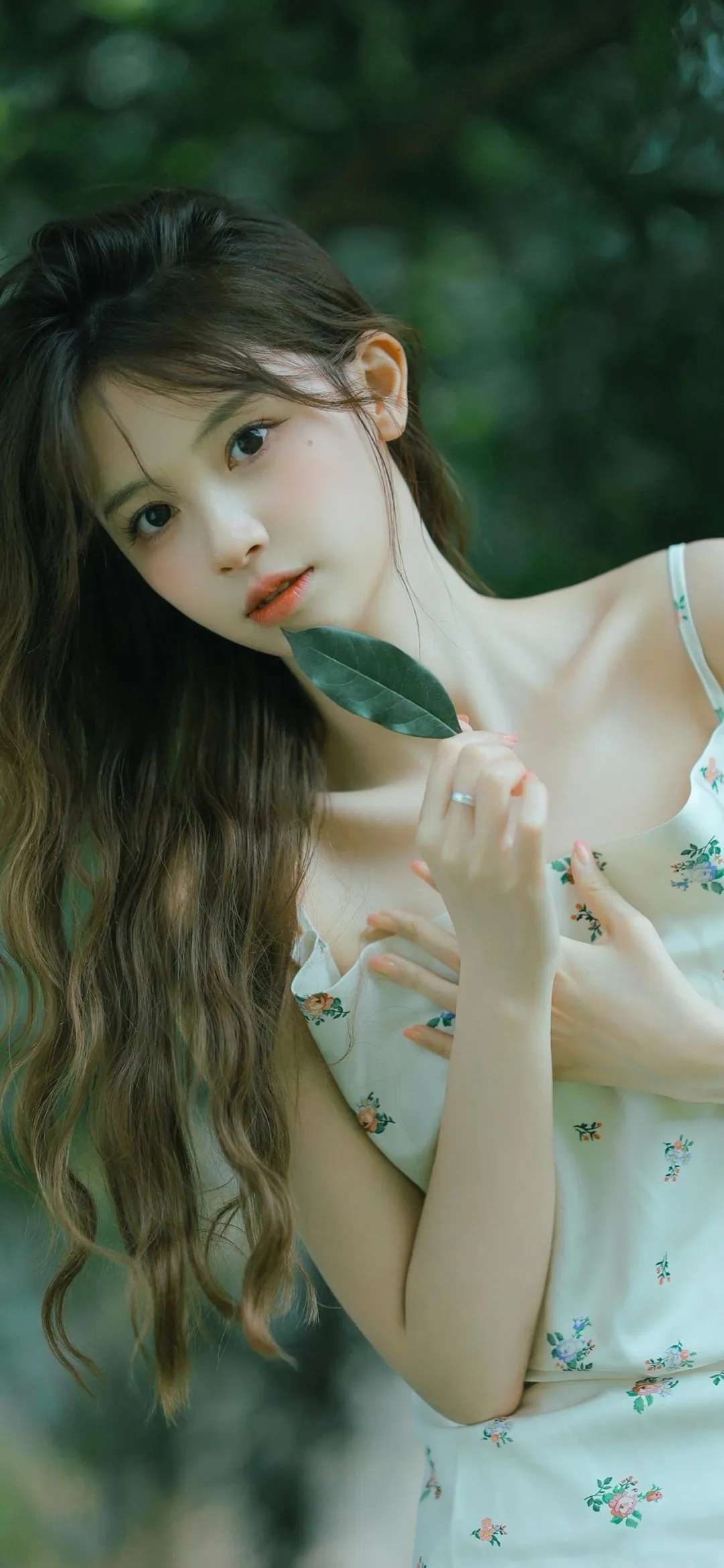 6a62ce4dd73d5.jpg