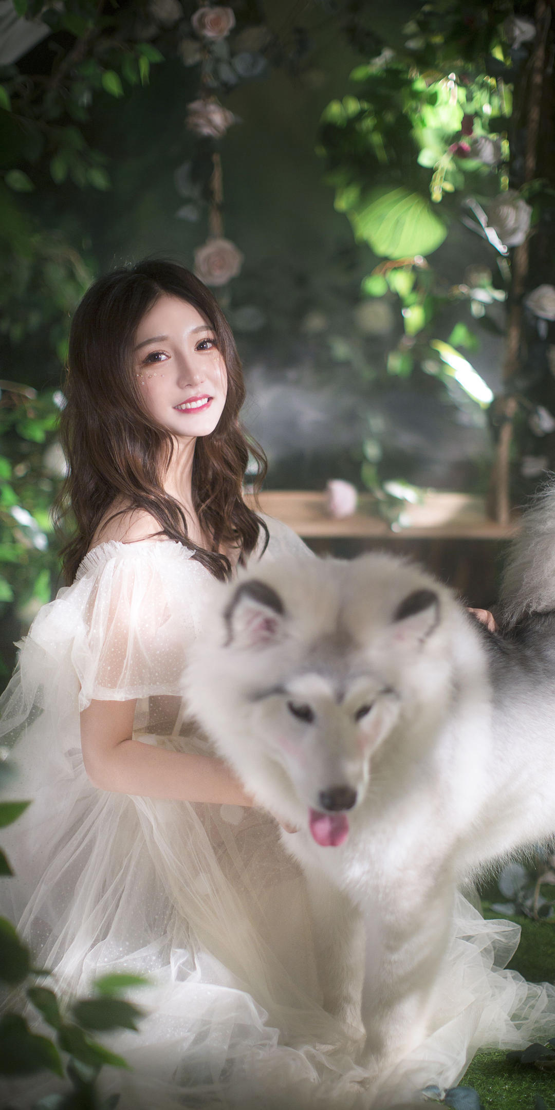 6a62cea35782e.jpg