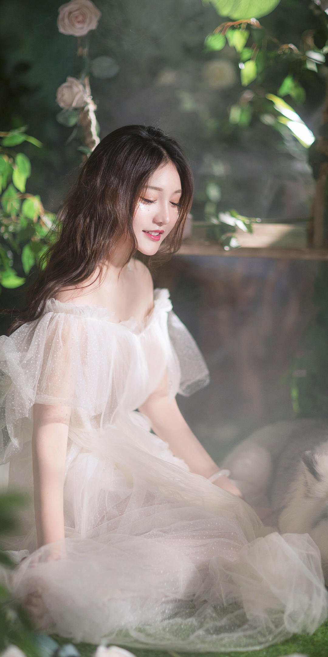 6a62cea38d793.jpg