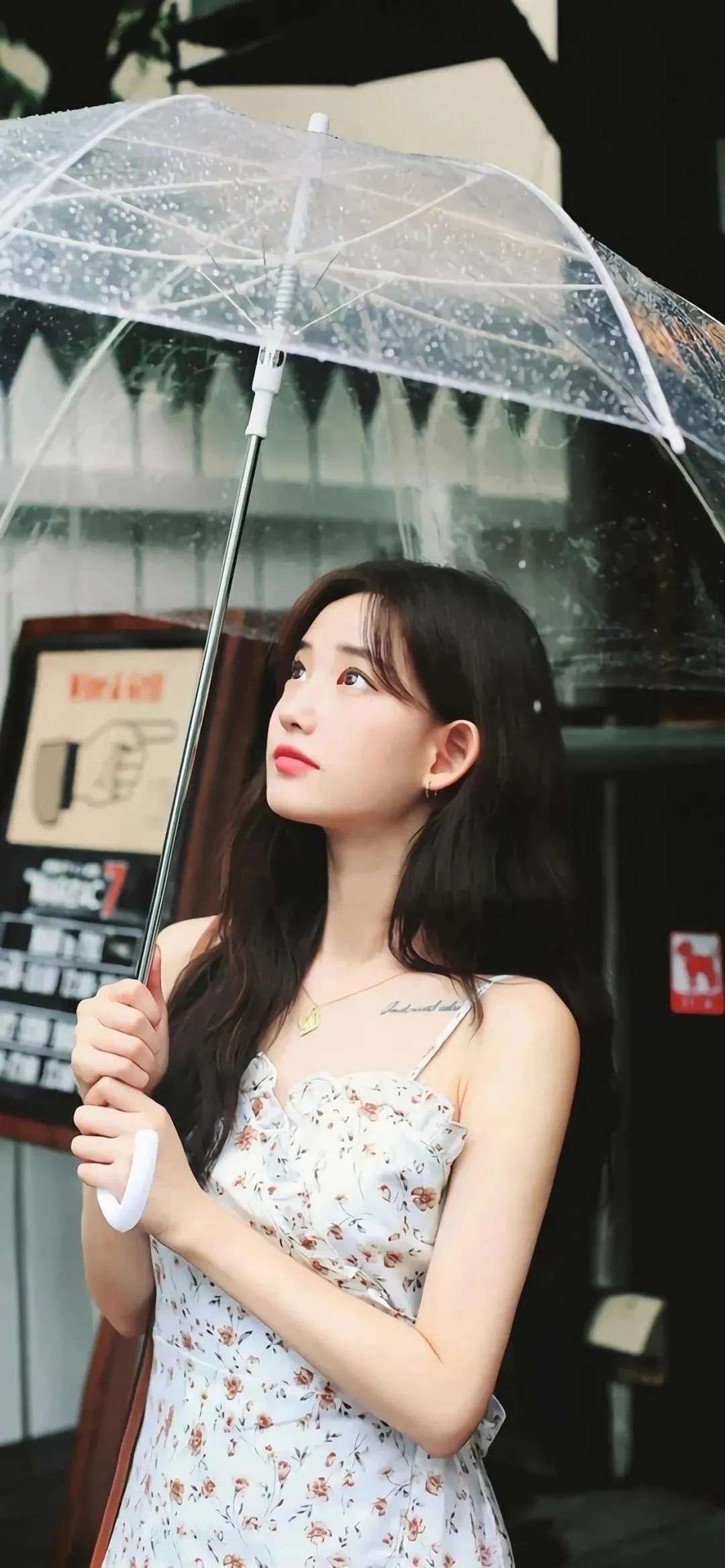 6a62de6a5023e.jpg