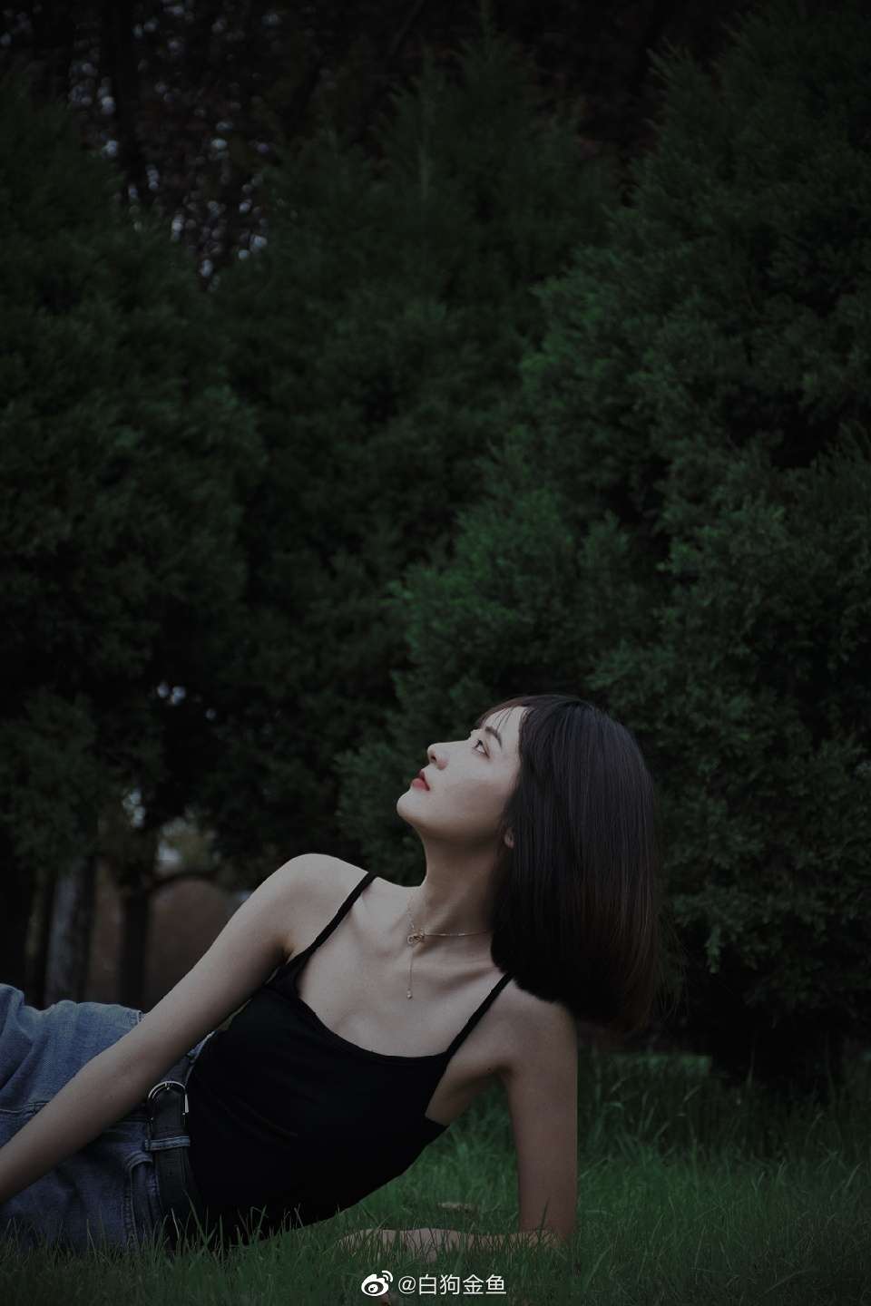 6a62debcf3d56.jpg