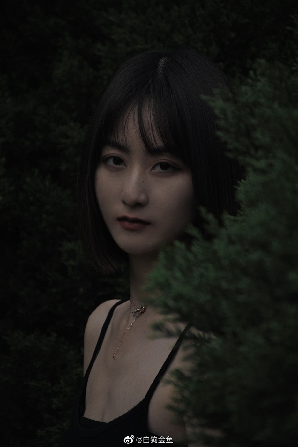 6a62debd8eeec.jpg