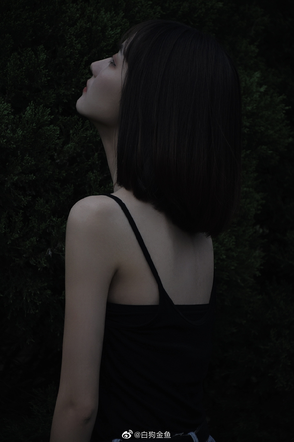 6a62debe30834.jpg