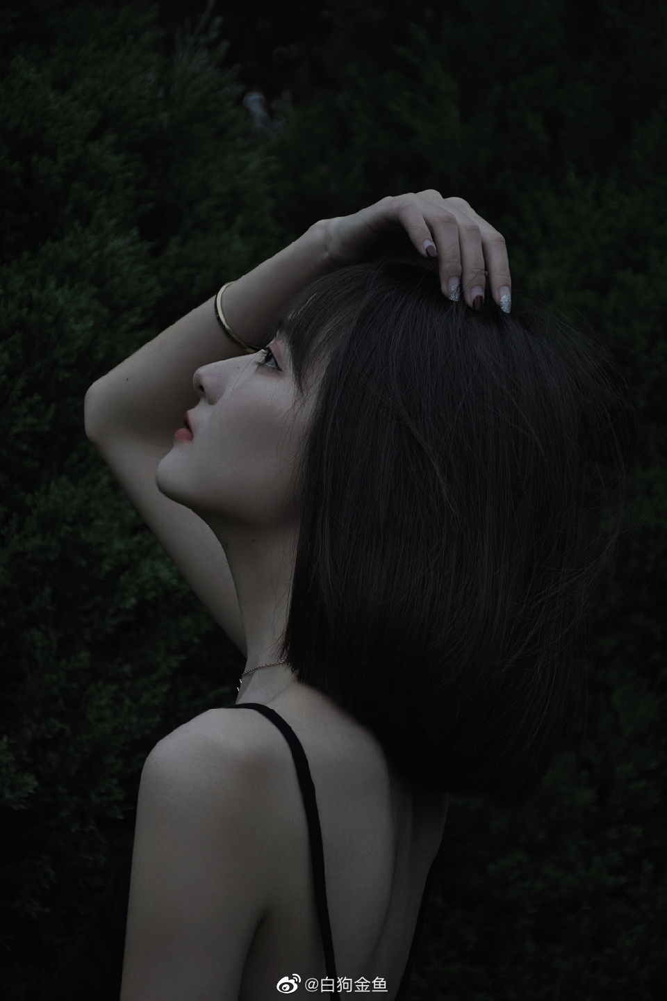 6a62debf0f8b7.jpg