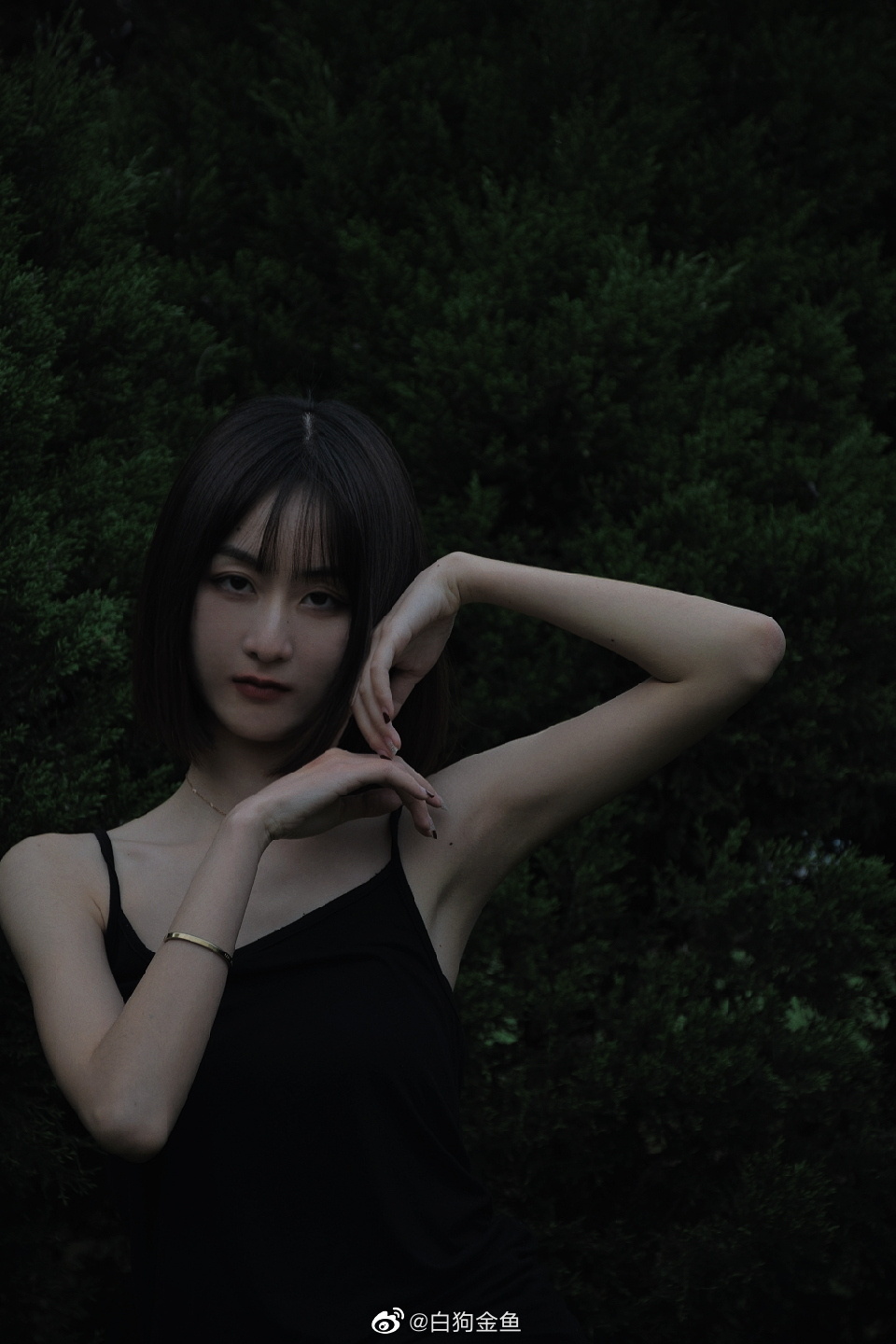 6a62debfa3039.jpg