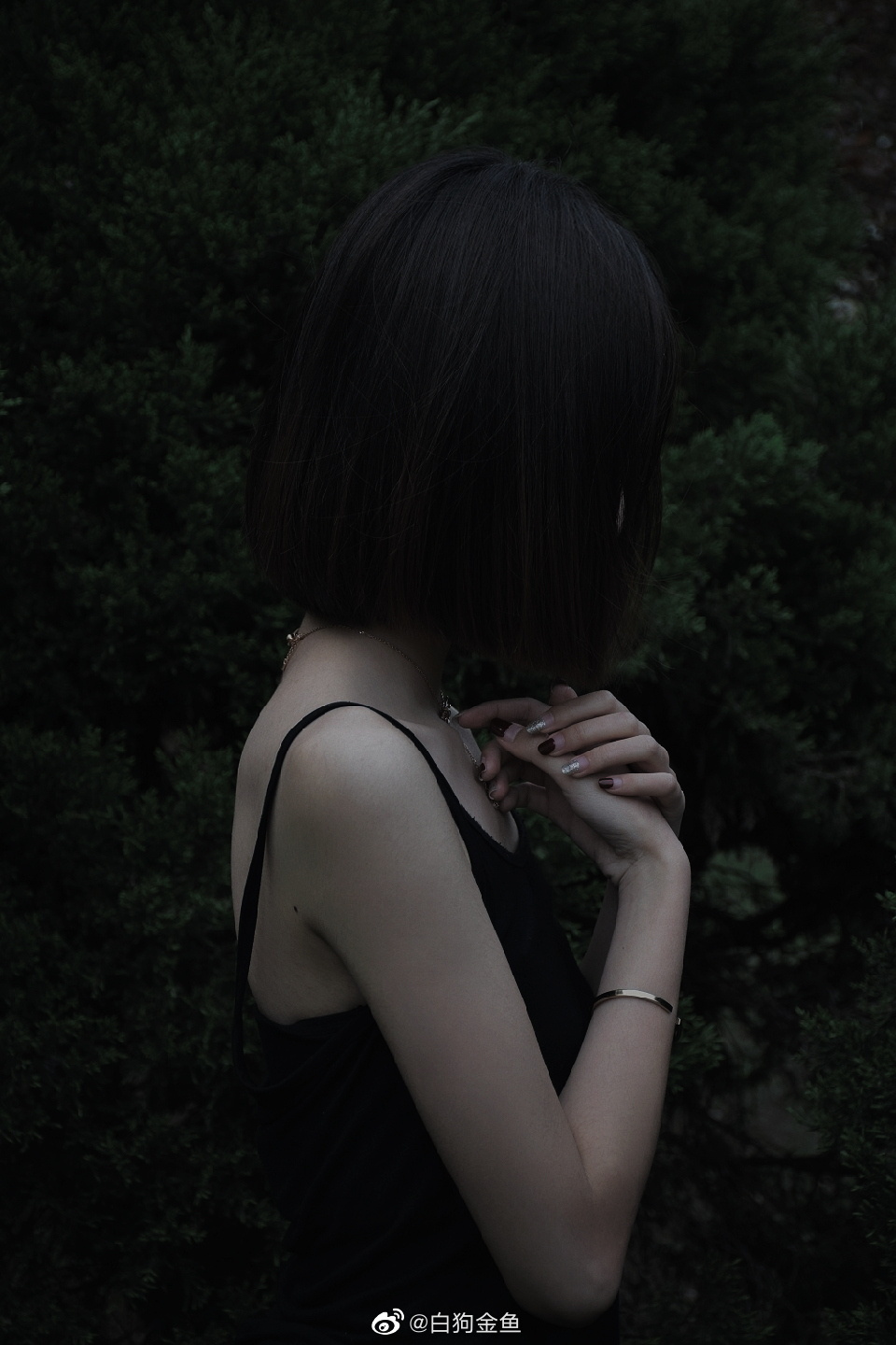 6a62dec0a5534.jpg