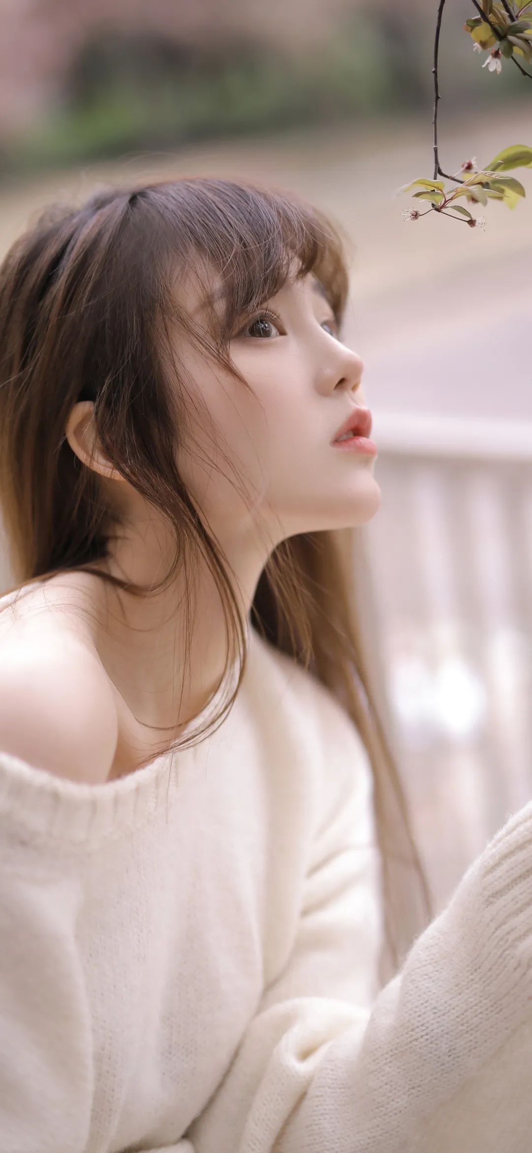 6a62decab3fb7.jpg