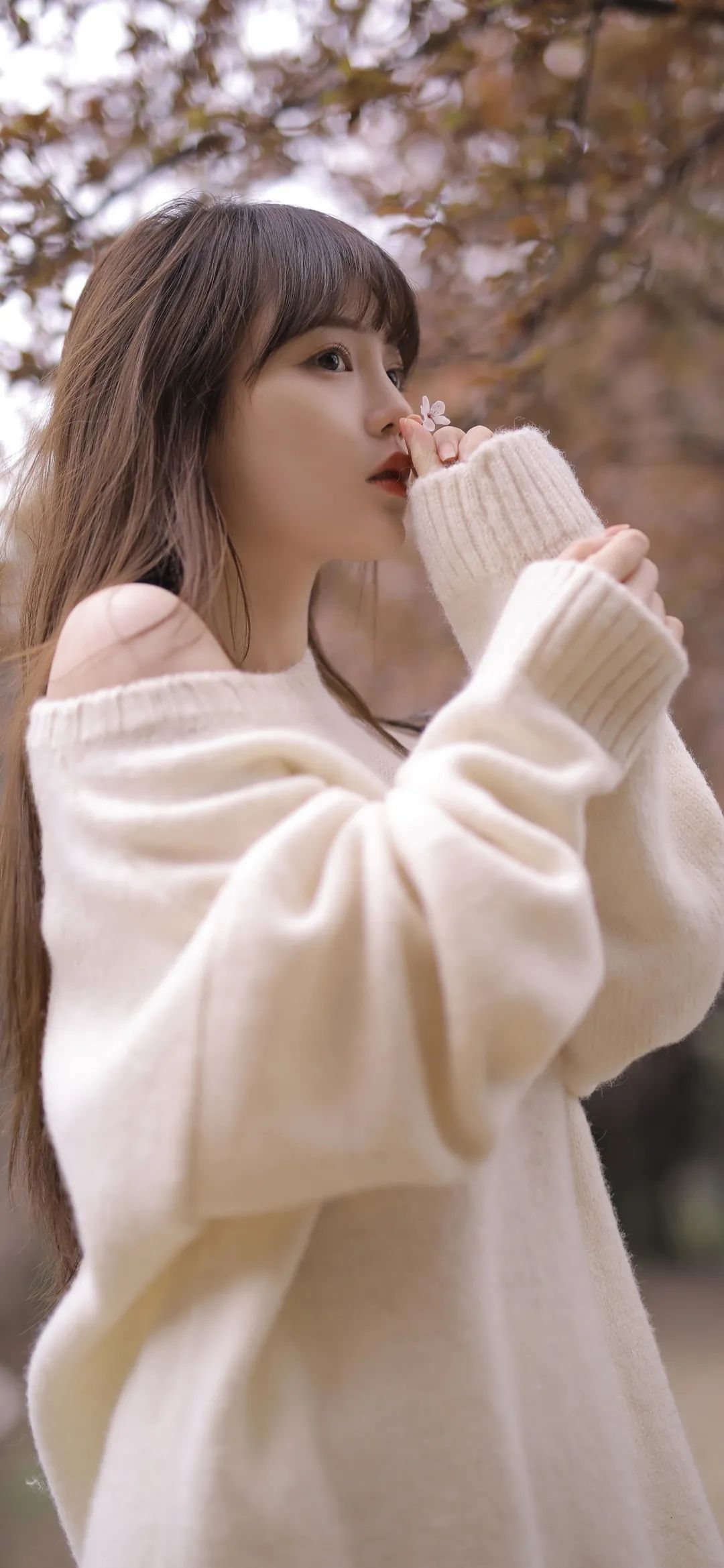 6a62decd751ed.jpg