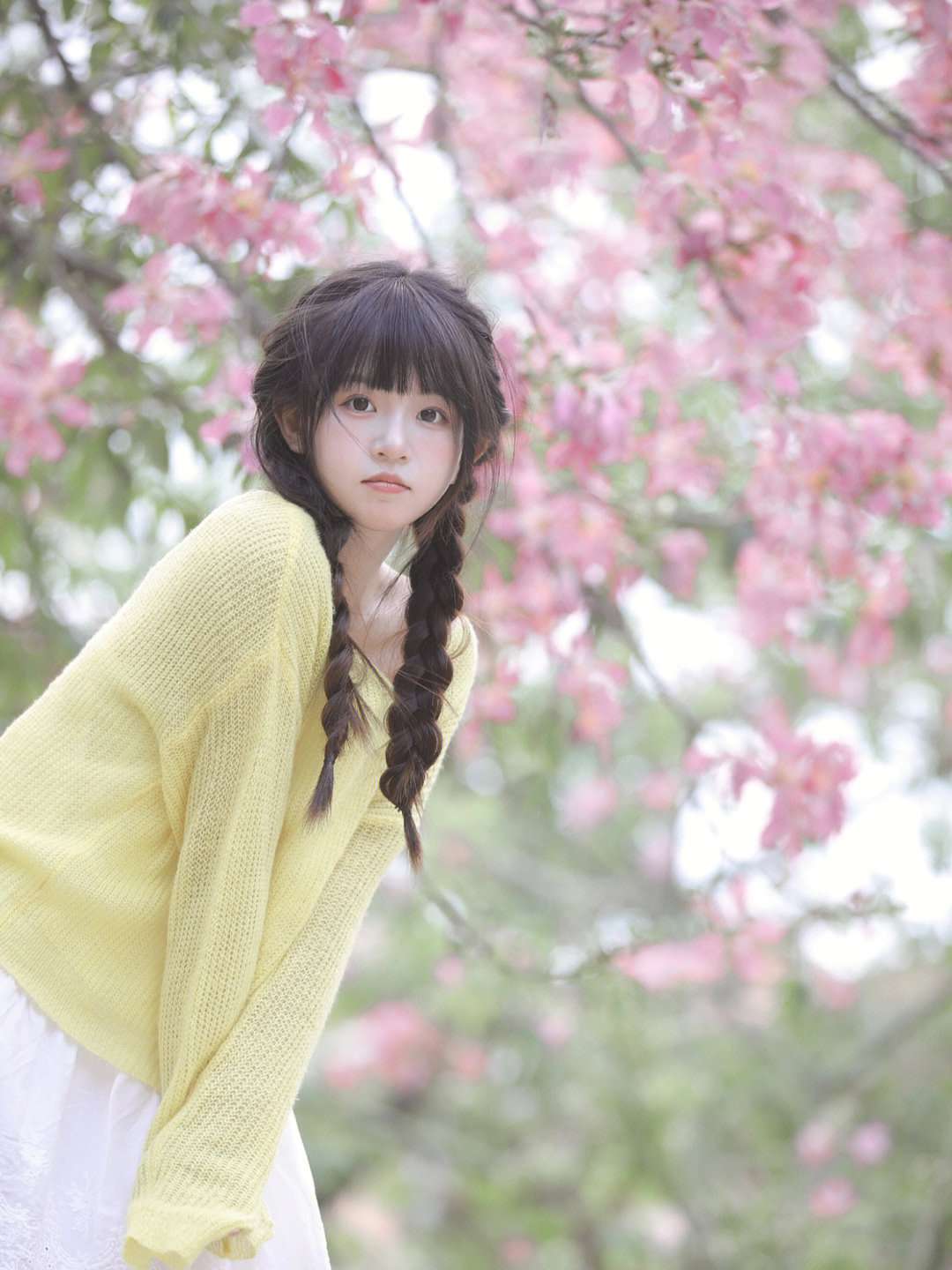 6a62ded80821c.jpg