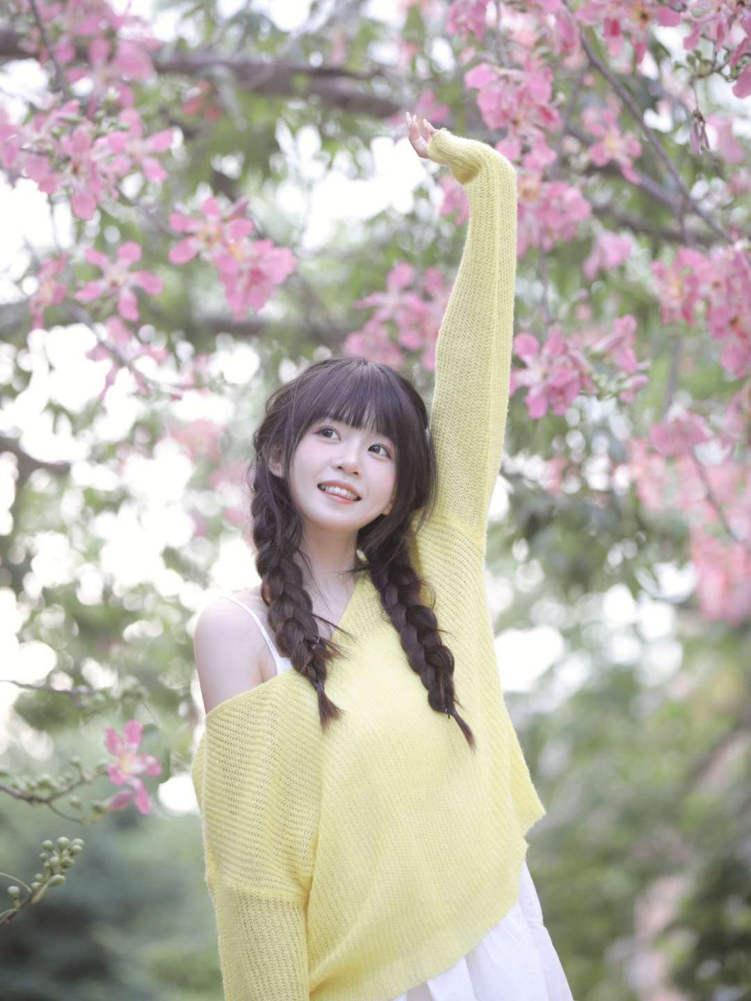 6a62ded8dd58f.jpg