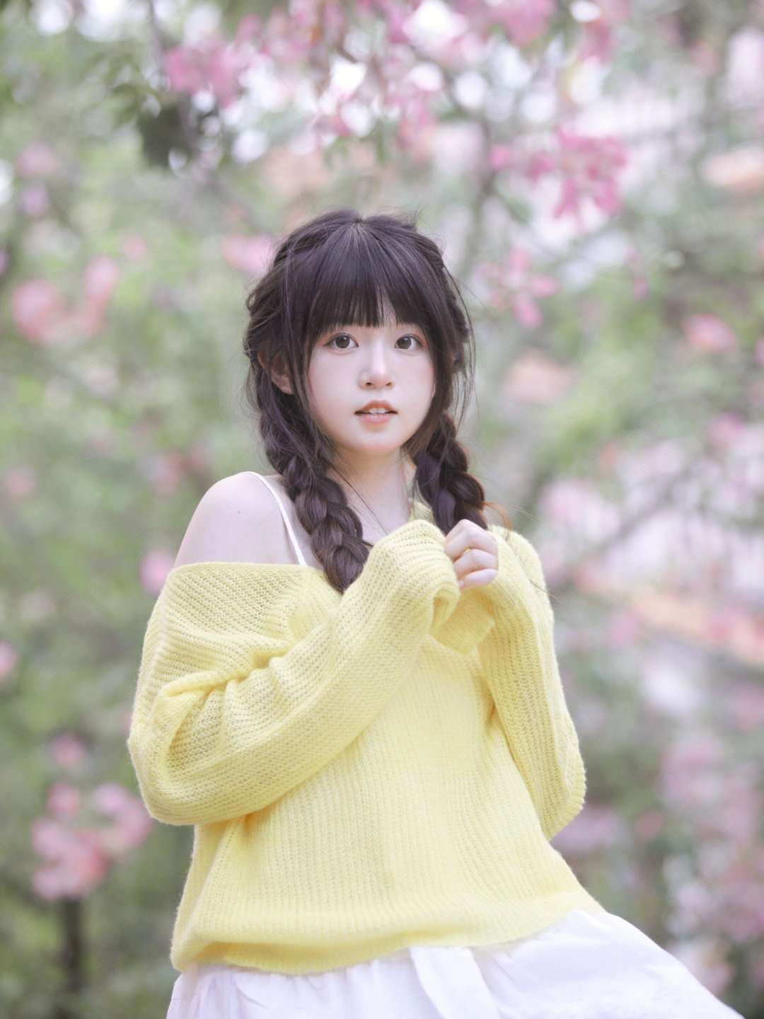 6a62ded92bd1f.jpg