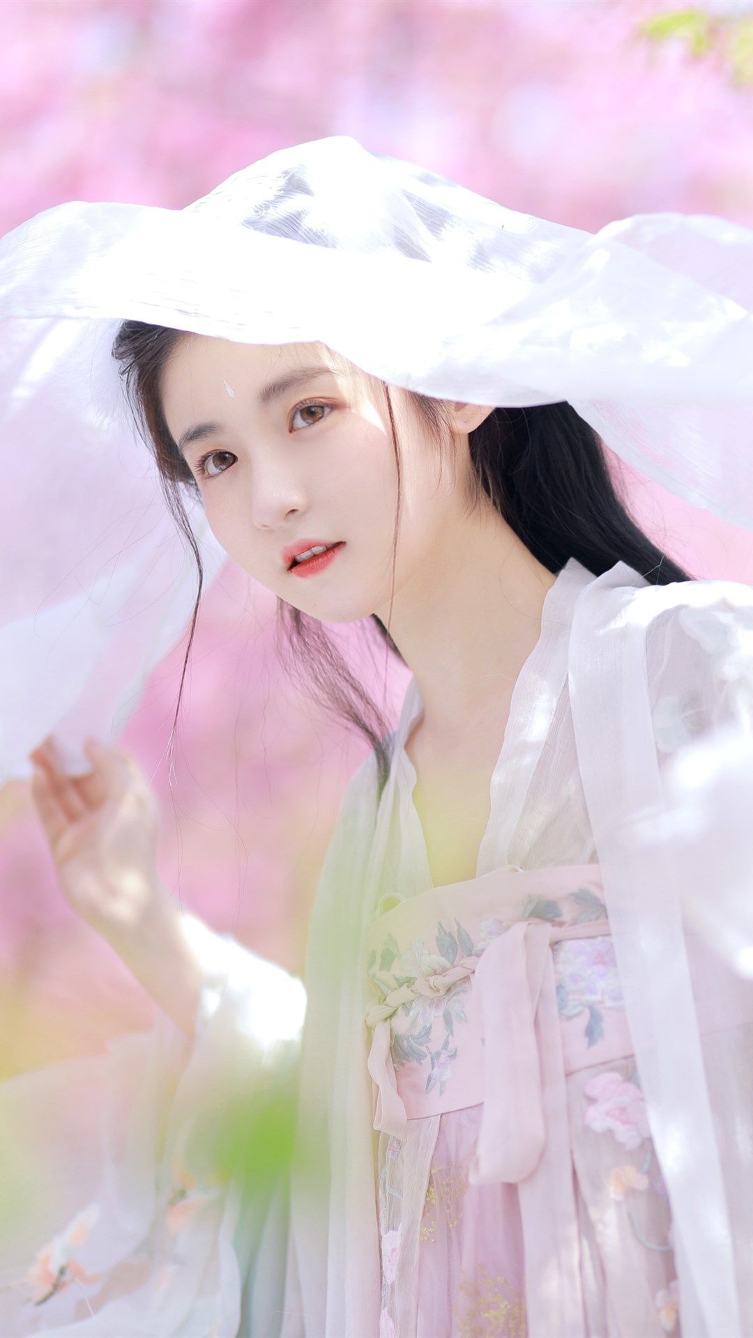 6a62dedd9a906.jpg