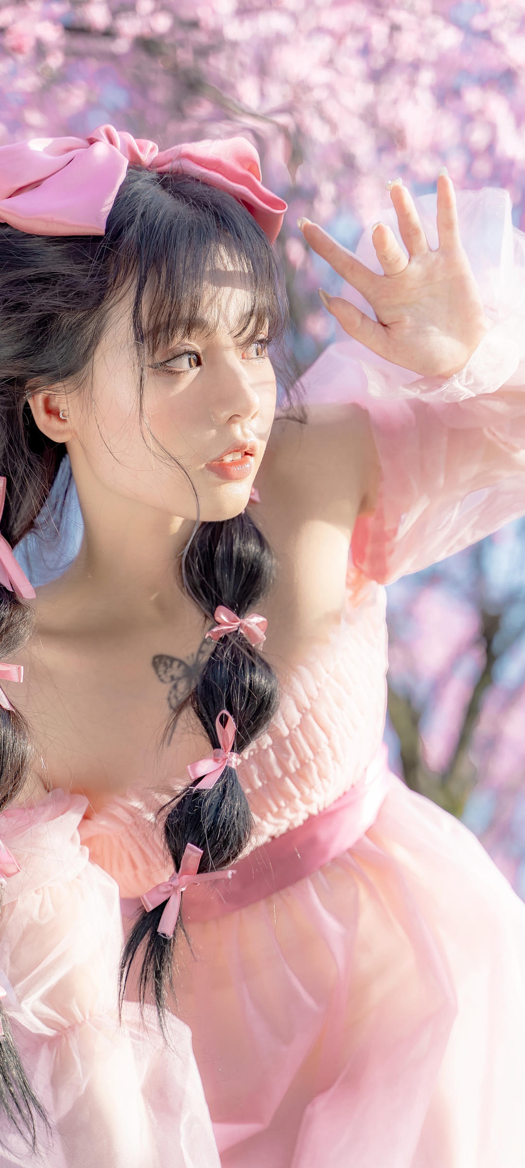 6a62dfab003a1.jpg