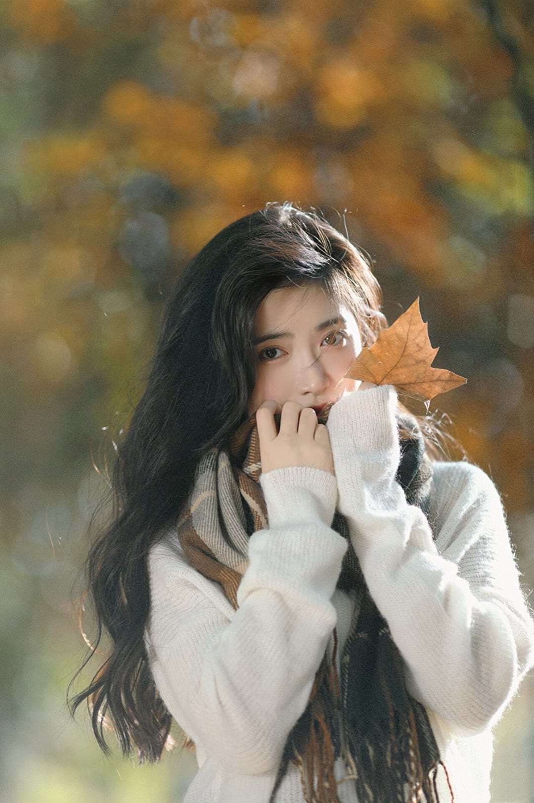 6a62dfb6799db.jpg