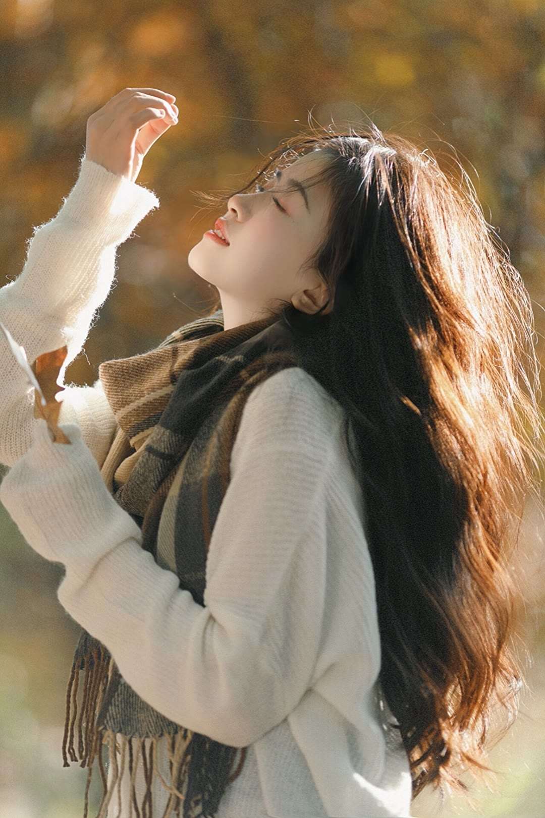 6a62dfb6df520.jpg