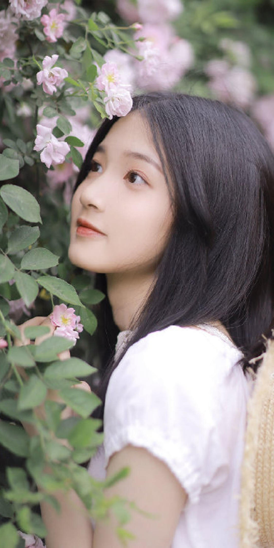 6a62e03a2ca1a.jpg