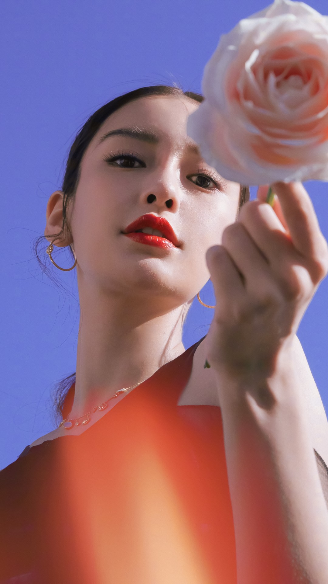 6a62e11cda09b.jpg