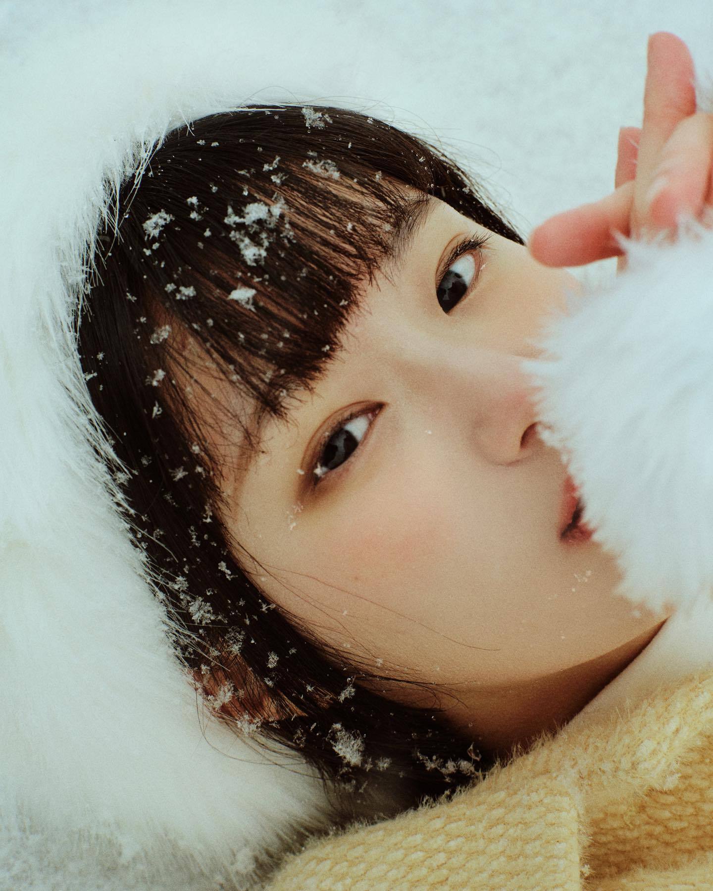 6a62e185a66a3.jpg