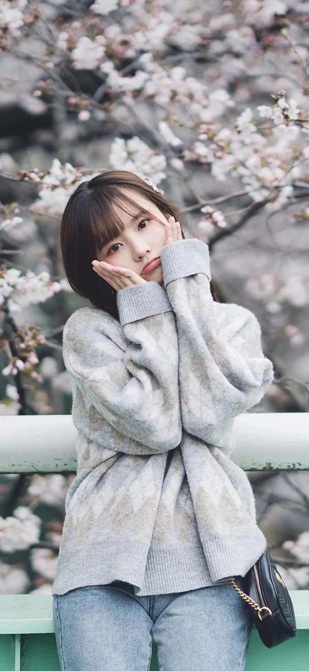 6a62e196743fc.jpg
