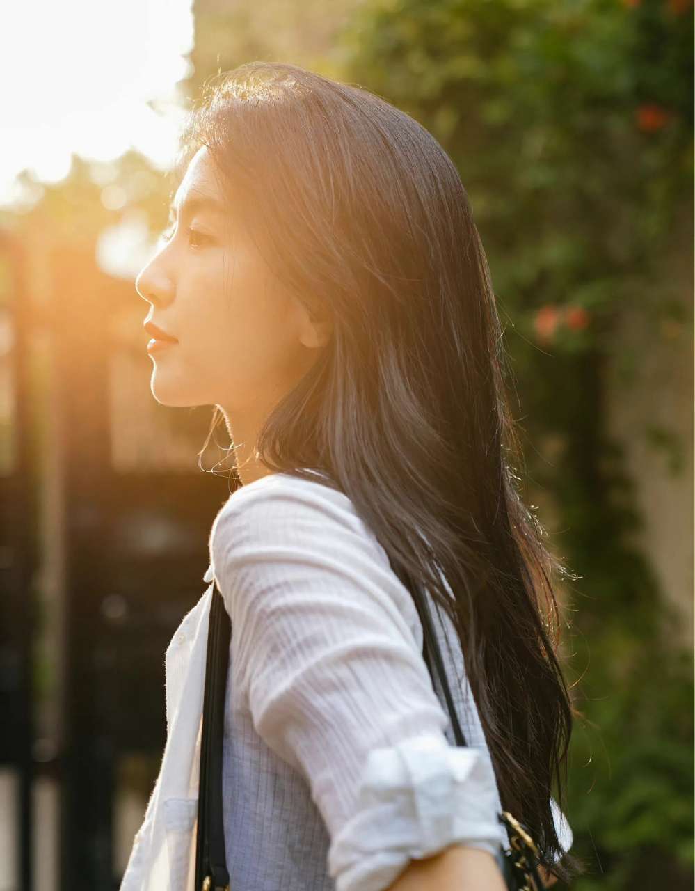 6a62e1b2065bd.jpg