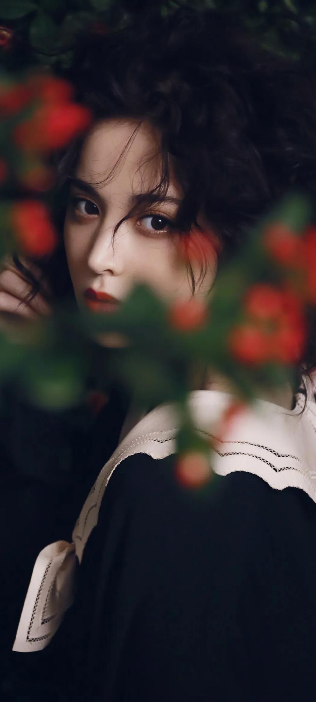 6a62e4d8063db.jpg