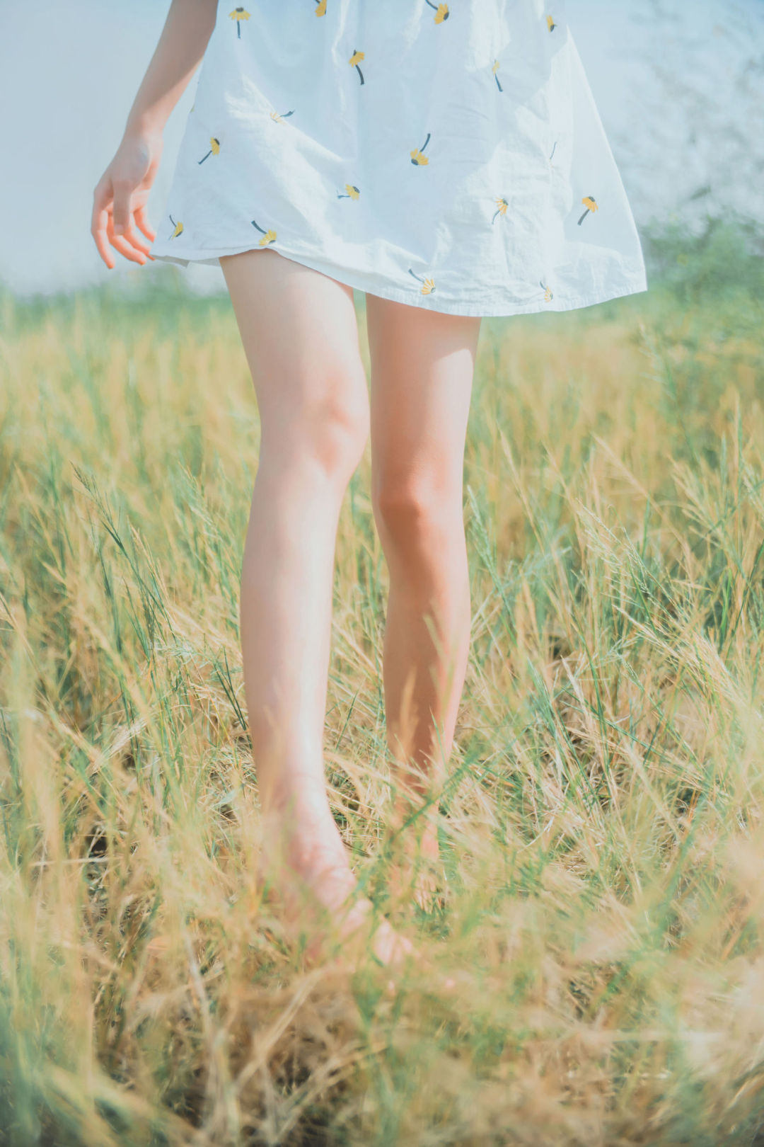 6a62e5bb510da.jpg