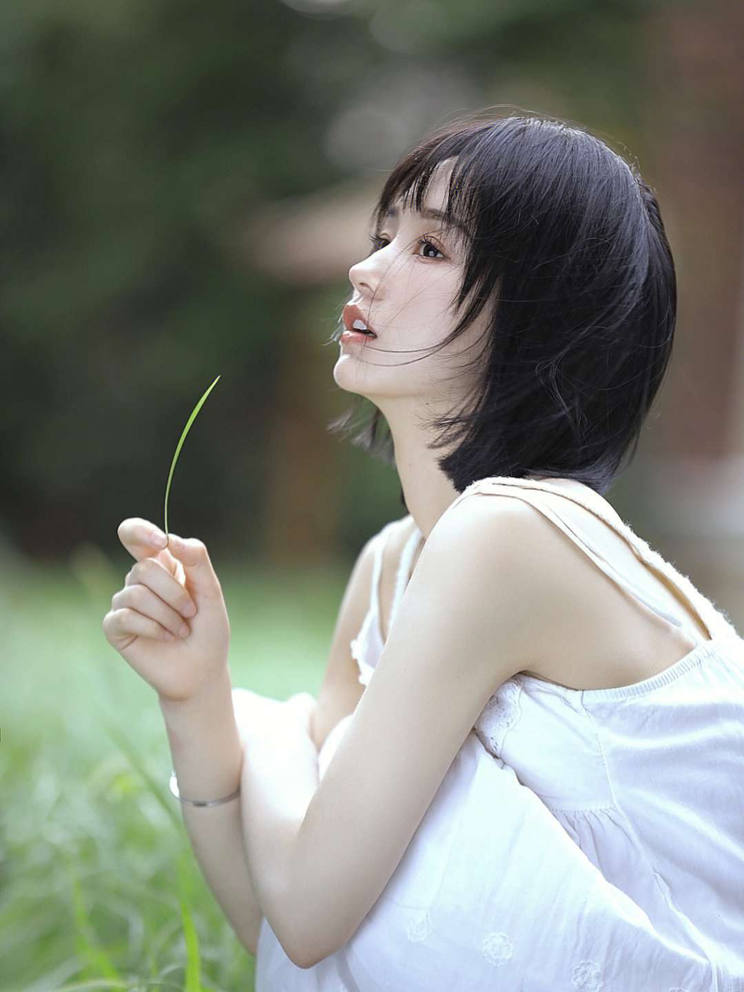 6a62e6388317c.jpg