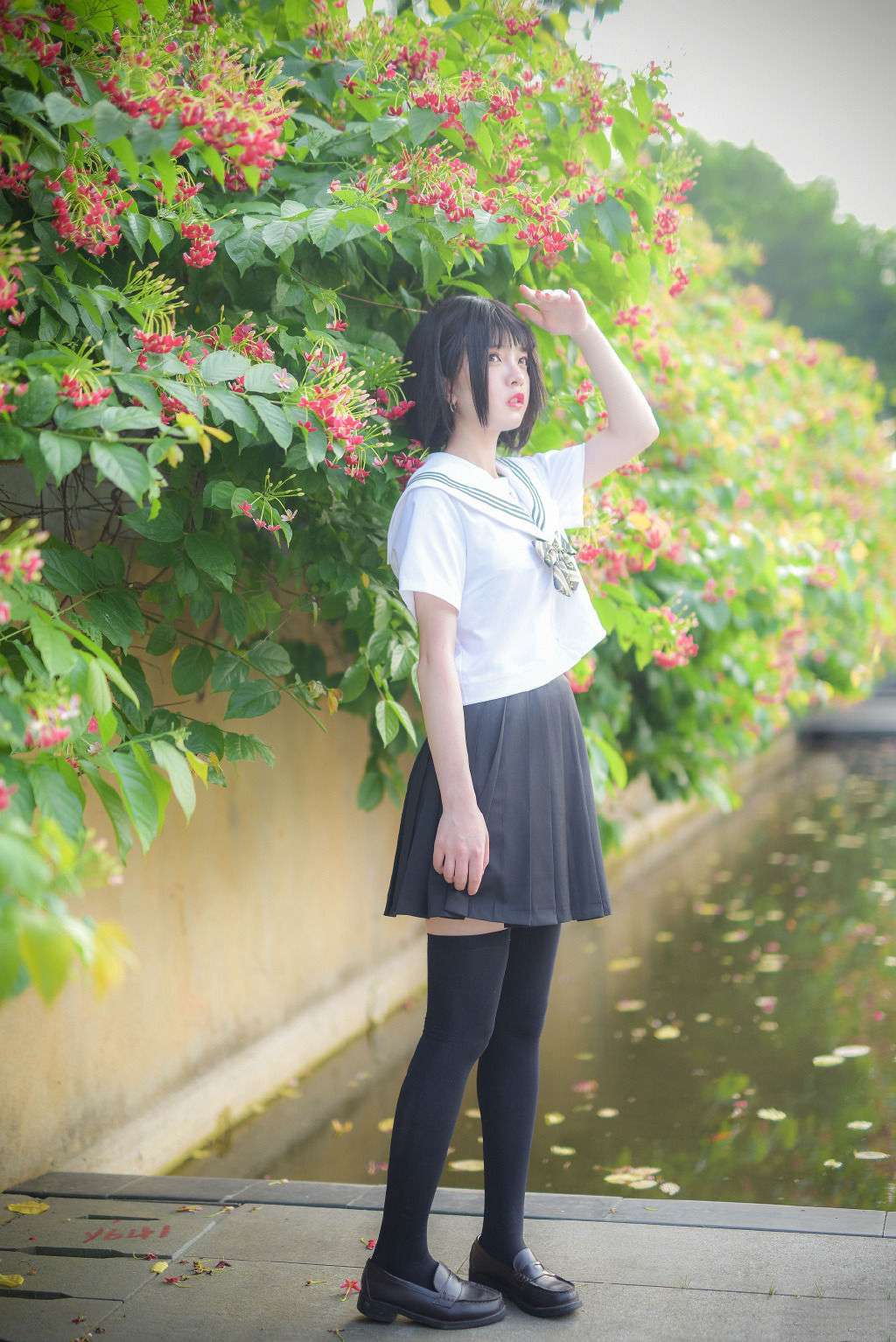 6a62e679ed465.jpg