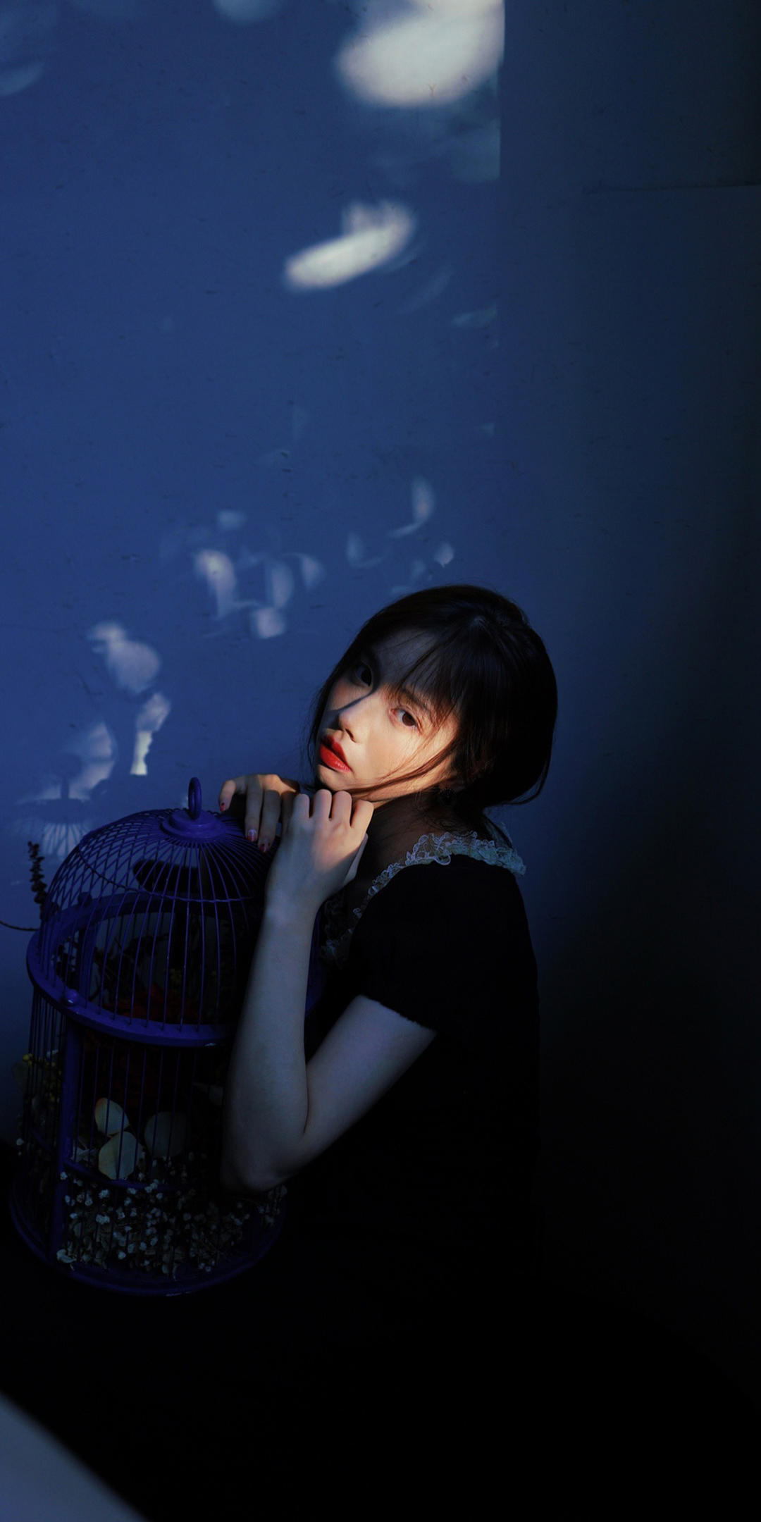 6a62e6c9d2790.jpg