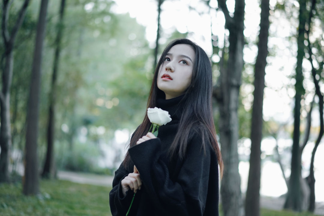 6a62e73bedd85.jpg